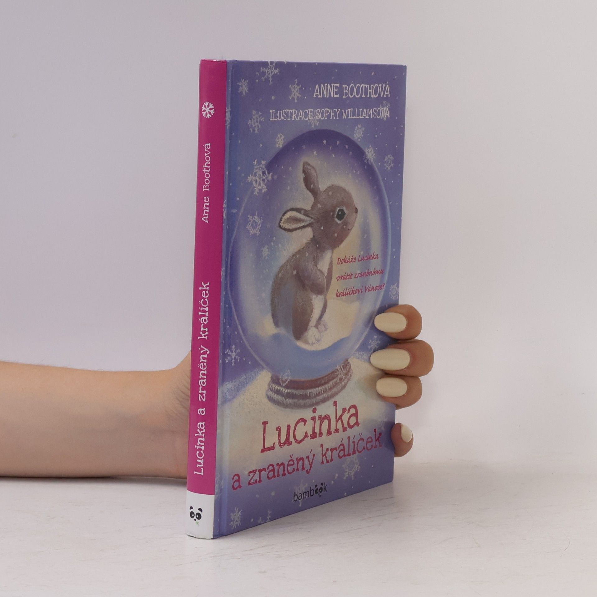 Anne Booth Lucinka a zraněný králíček