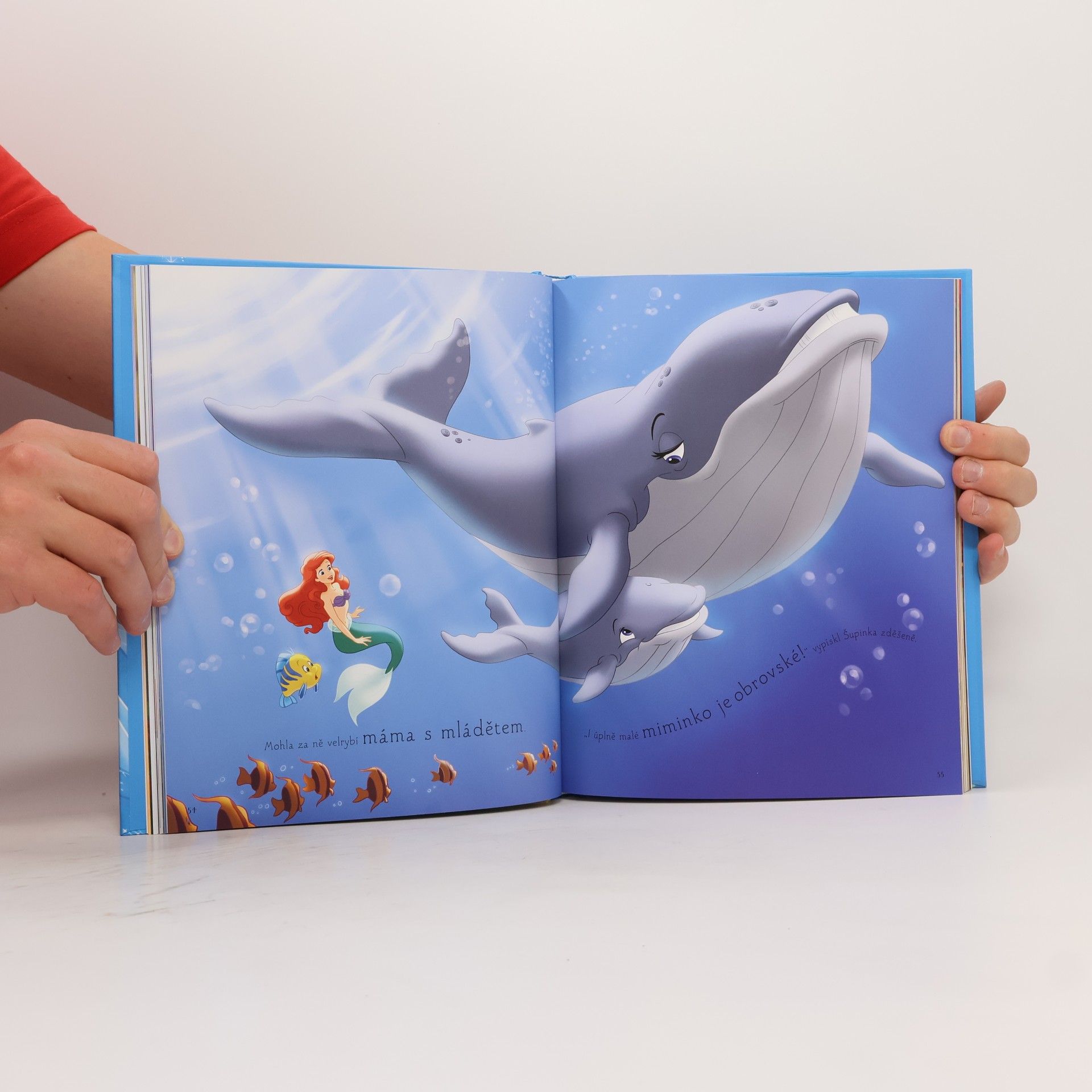 Walt Disney Disney princezna. Knížka plná pohádek