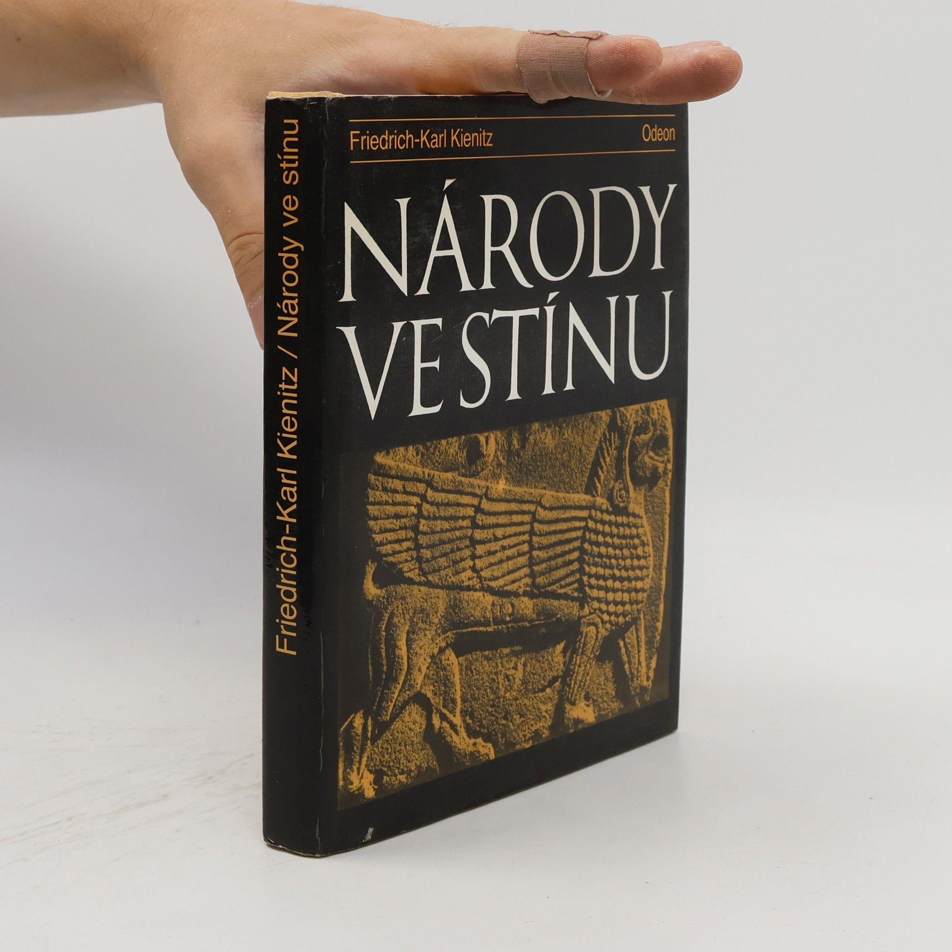 Friedrich Karl Kienitz Národy ve stínu