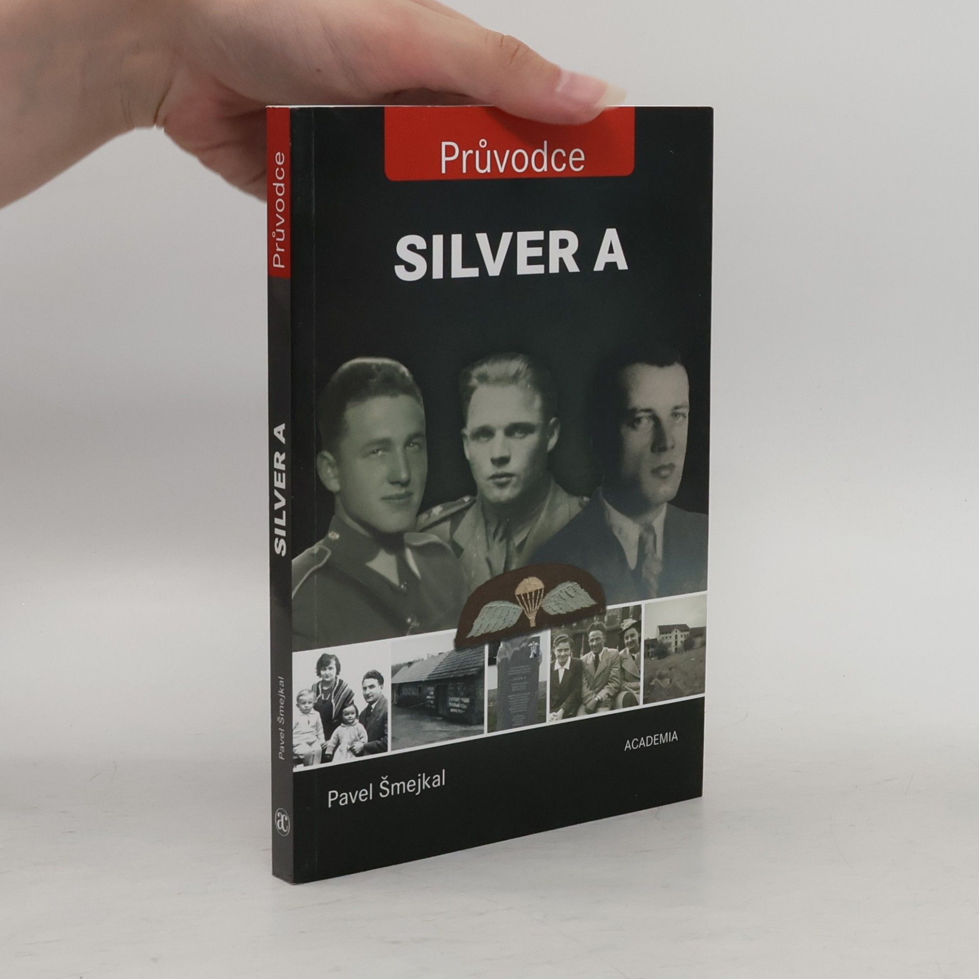 Pavel Šmejkal Silver A