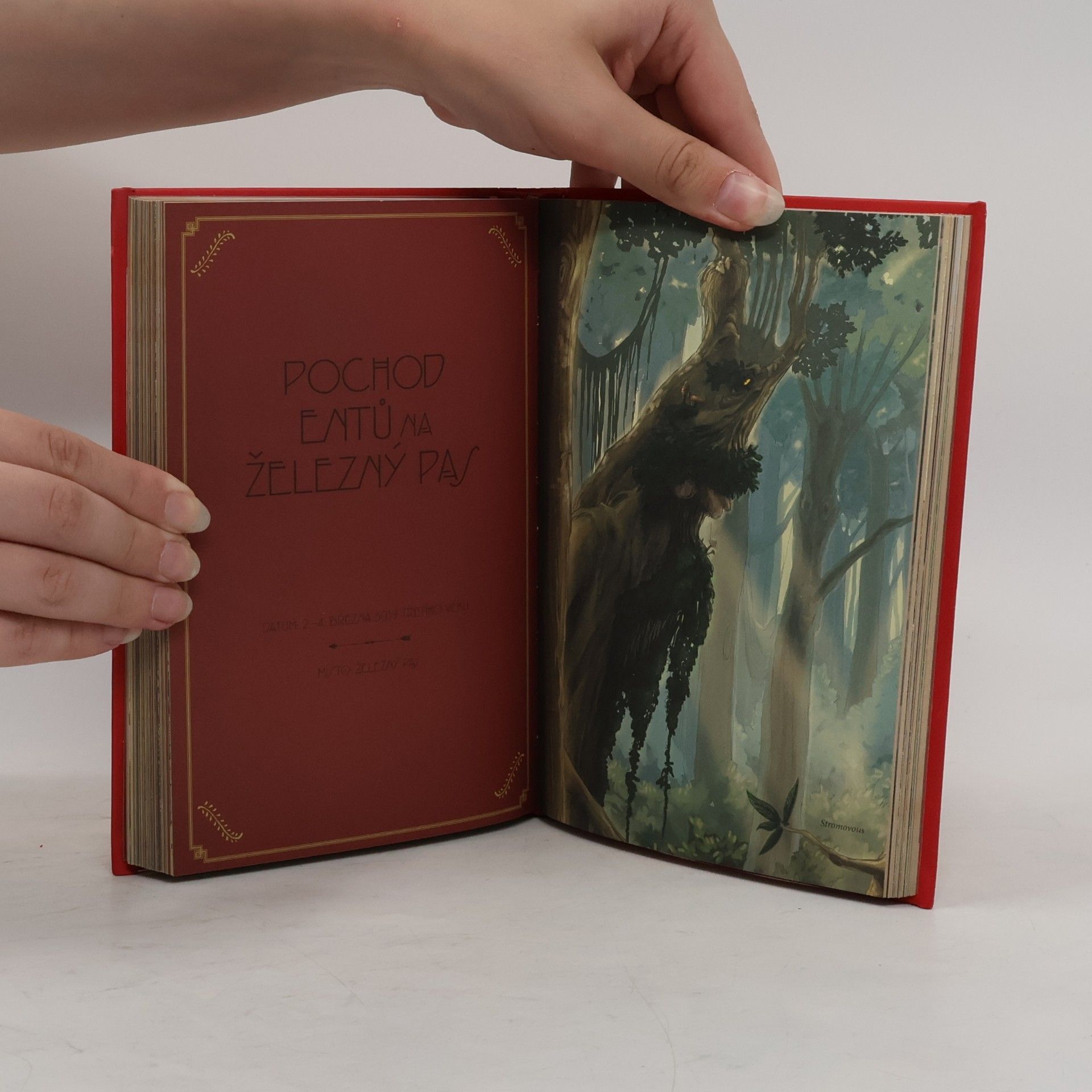 David Day Tolkienovy bitvy