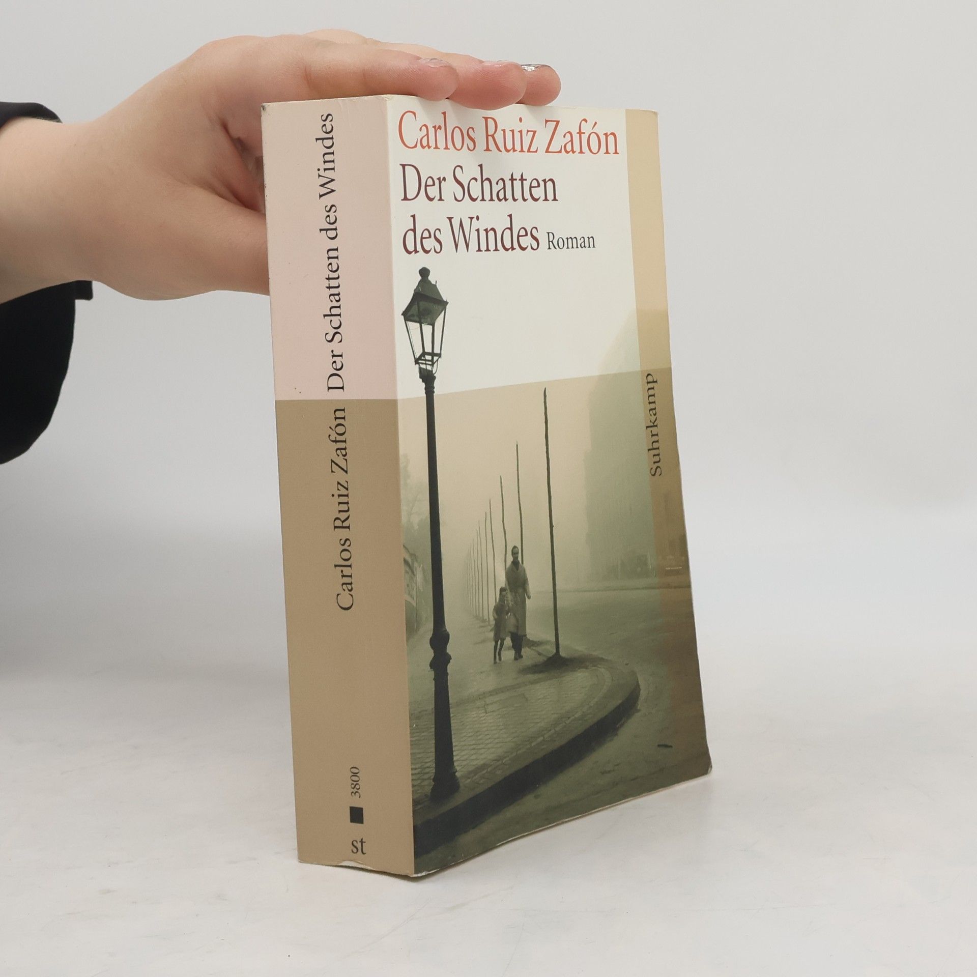 Carlos Ruiz Zafón Der Schatten des Windes