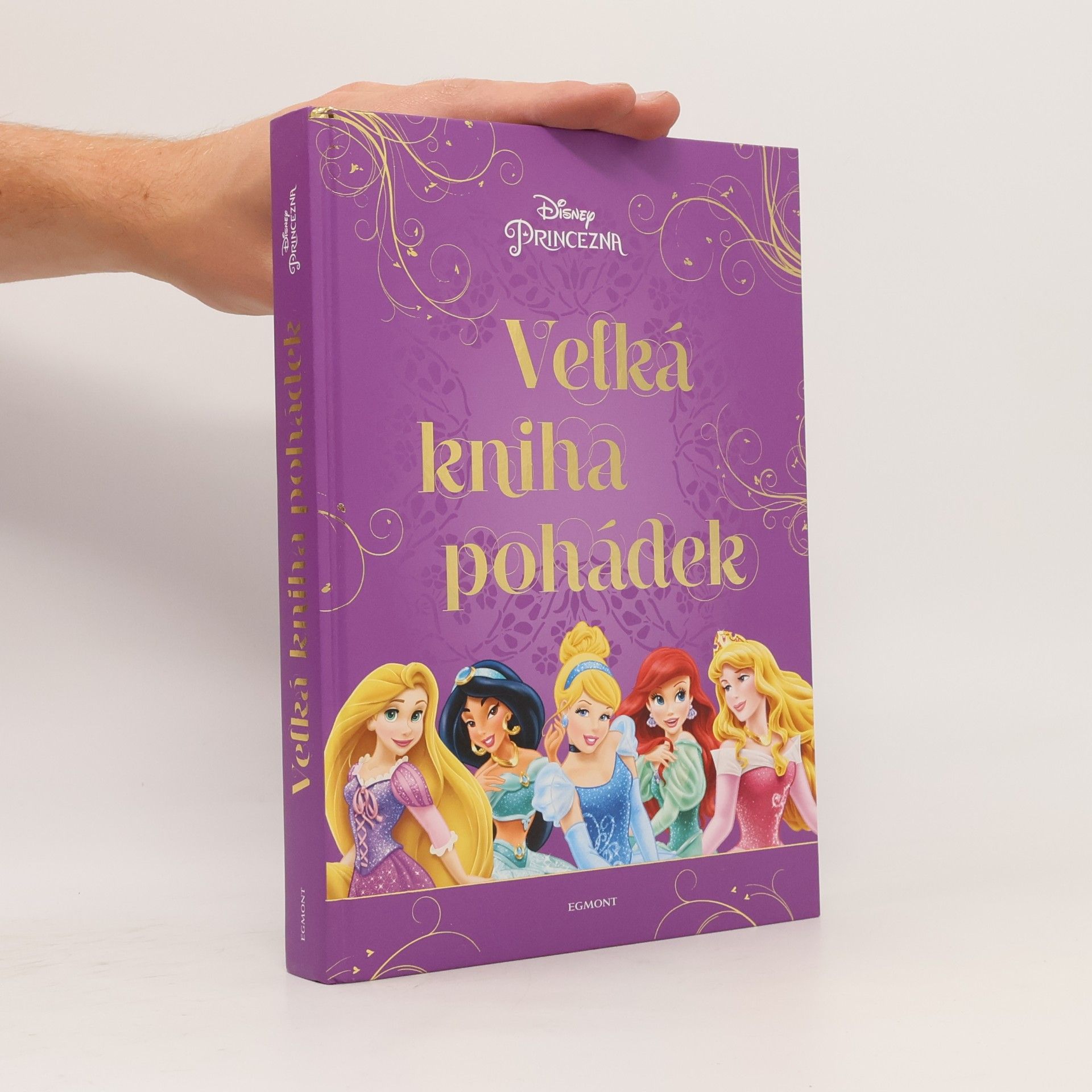 Various authors Velká kniha pohádek - princezna