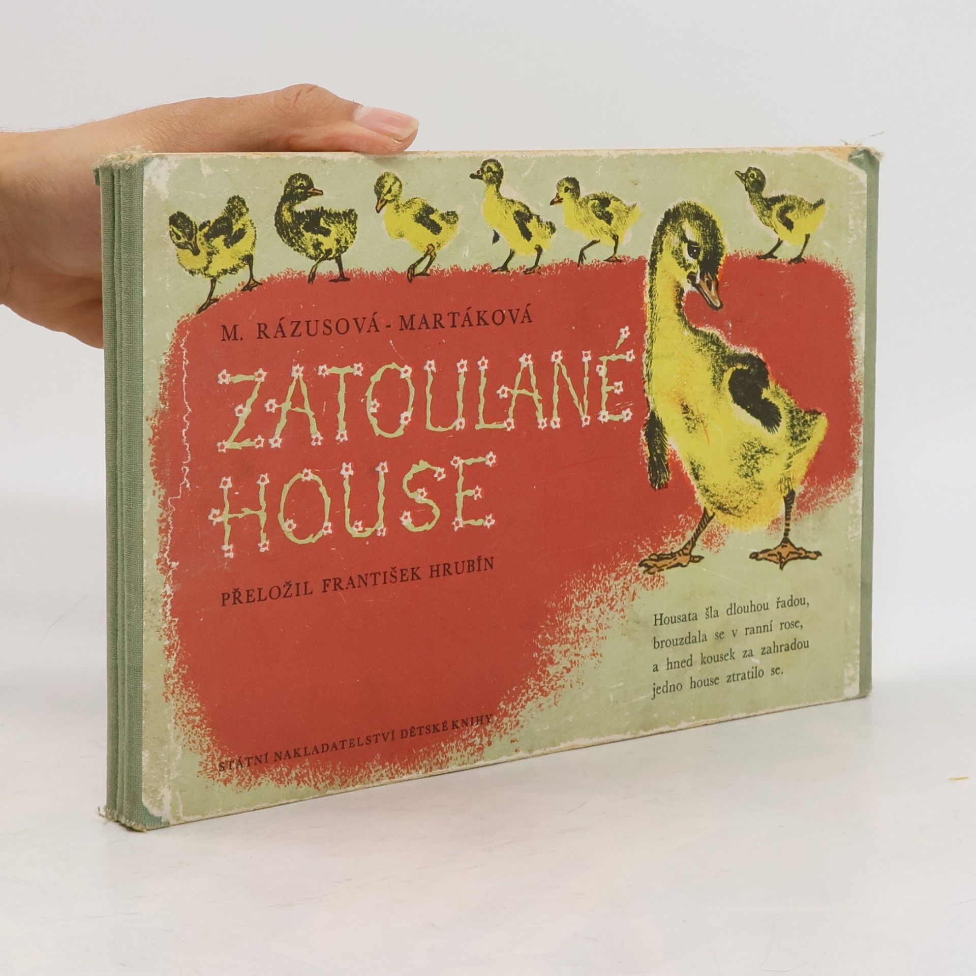 Zatoulané house