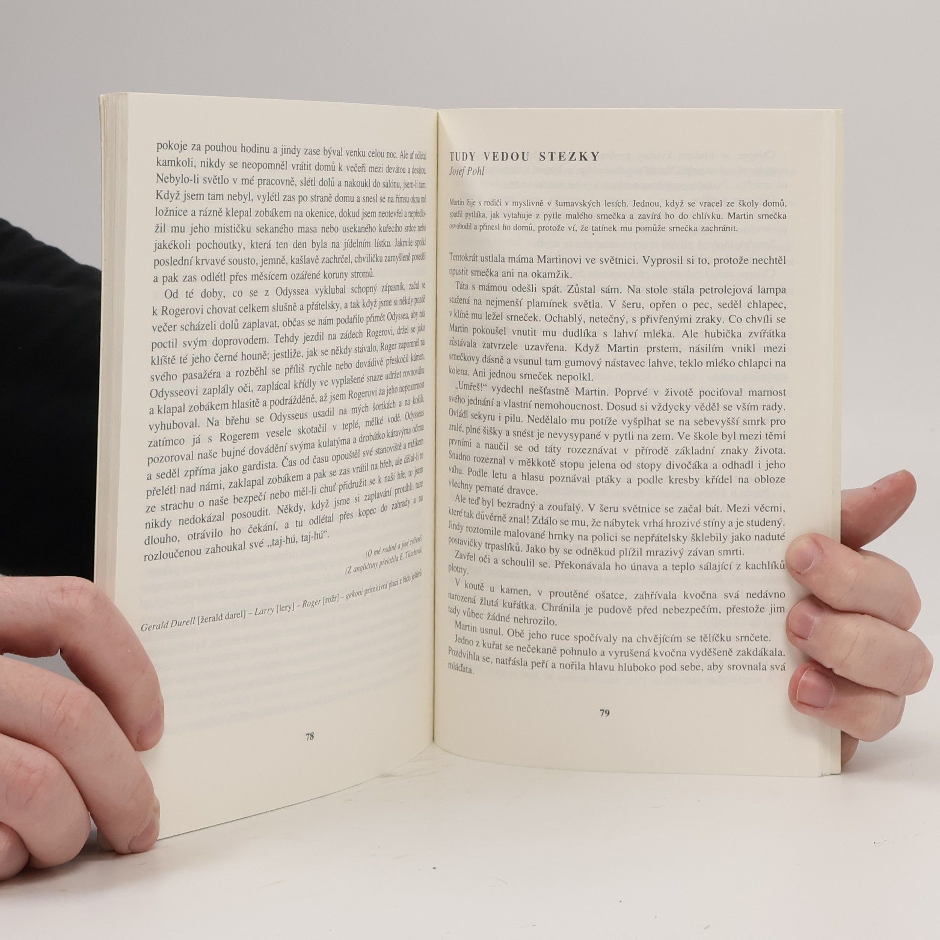 Autorenkollektiv Čítanka naší a světové literatury pro 6.-9. ročníky základních škol