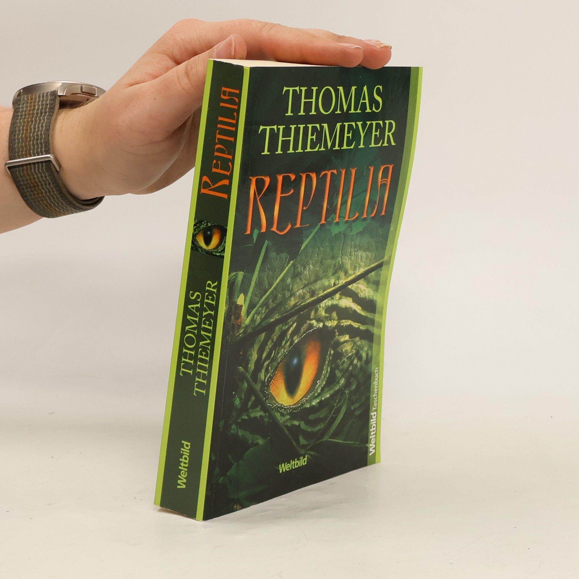 Thomas Thiemeier Reptilia