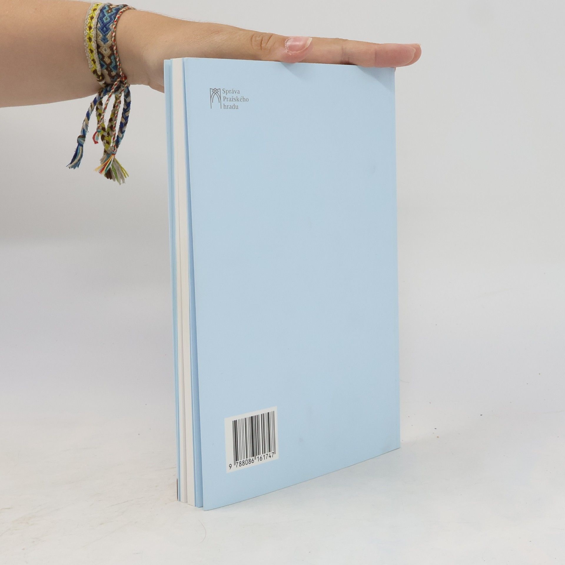 Autores varios Perfect Tense. Malba dnes = Painting Today