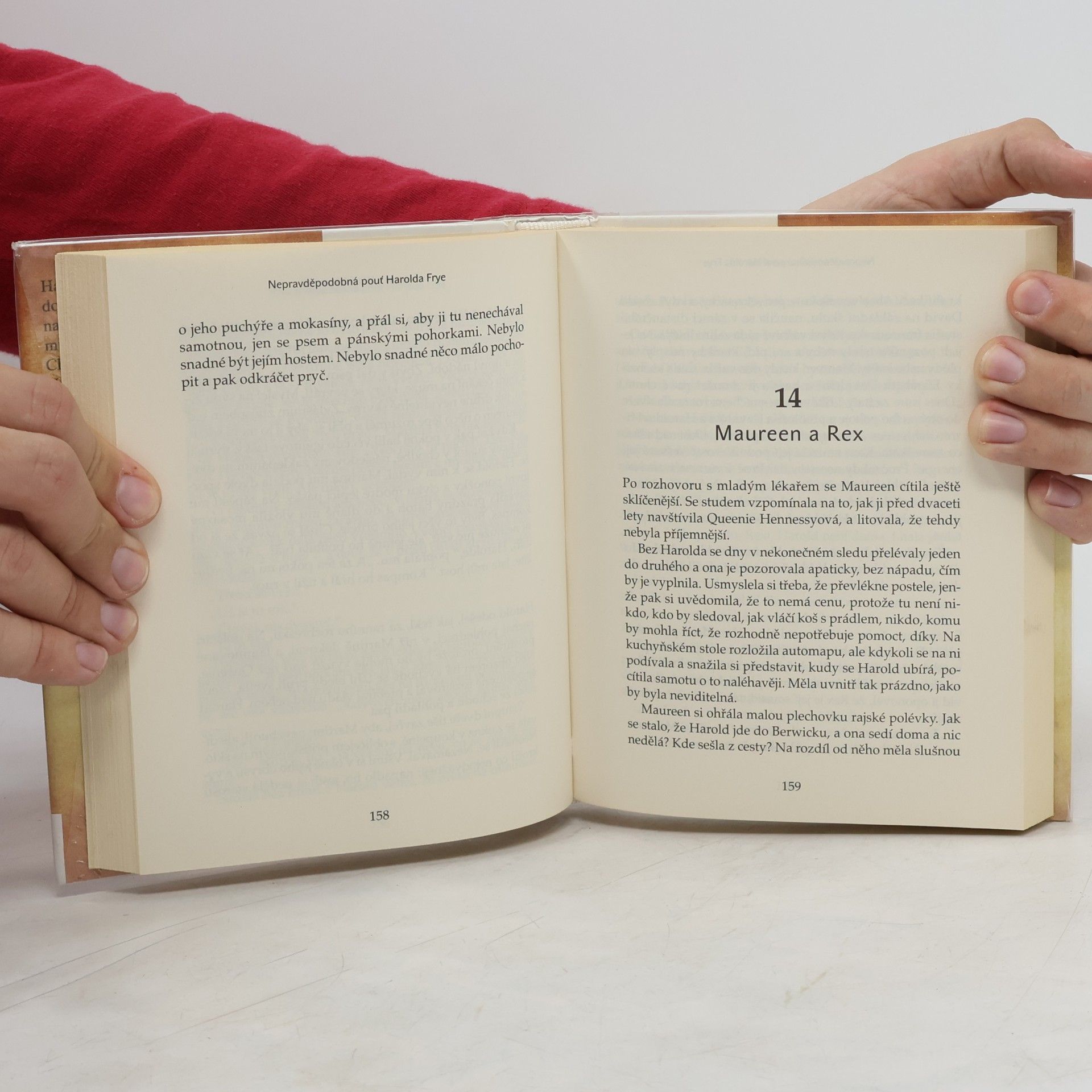 Rachel Joyce Nepravděpodobná pouť Harolda Frye
