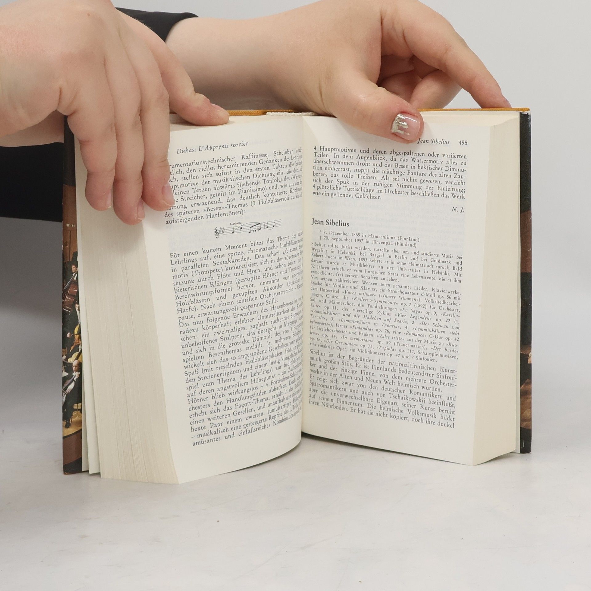 Autores varios Reclams Konzertführer