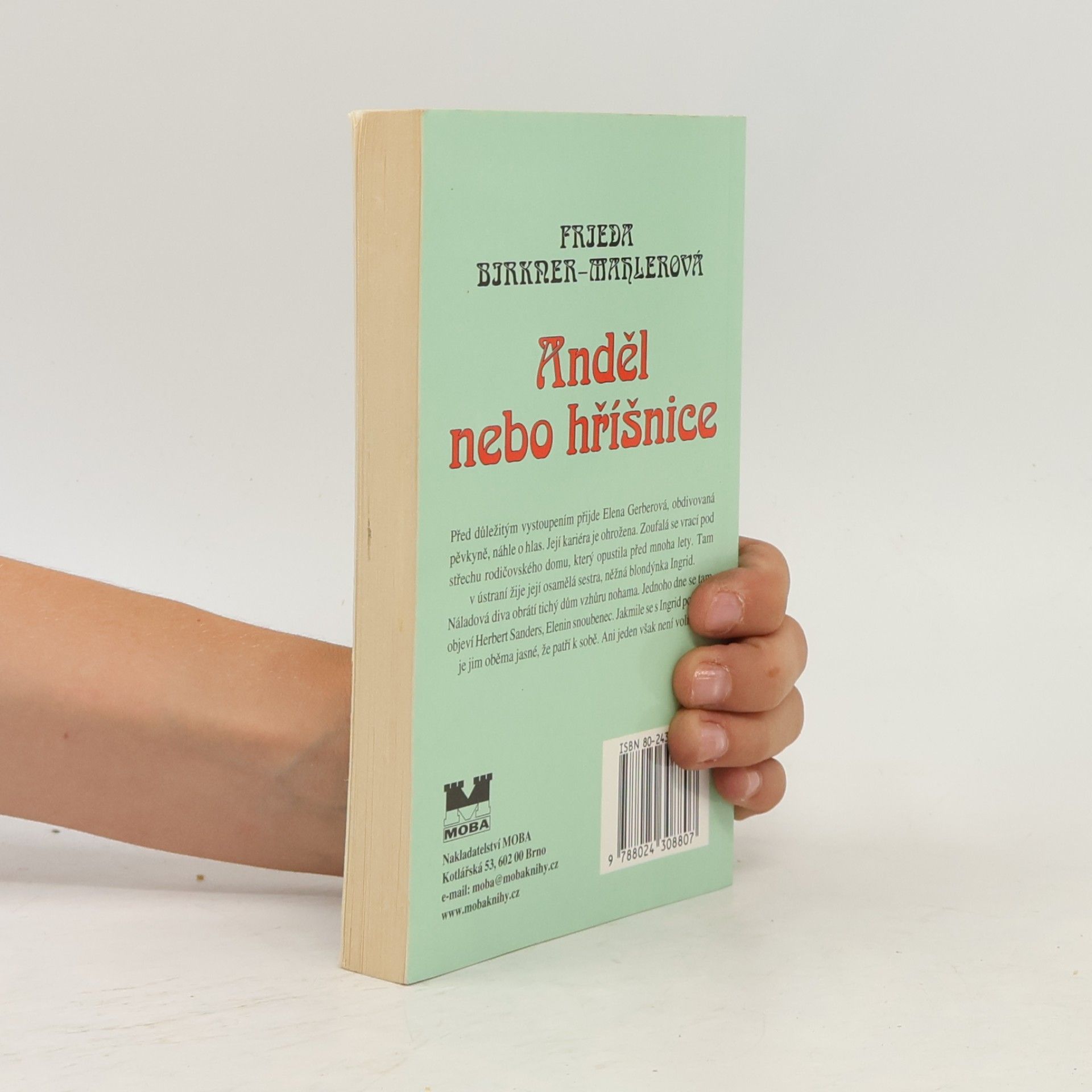 Friede Birkner Anděl nebo hříšnice