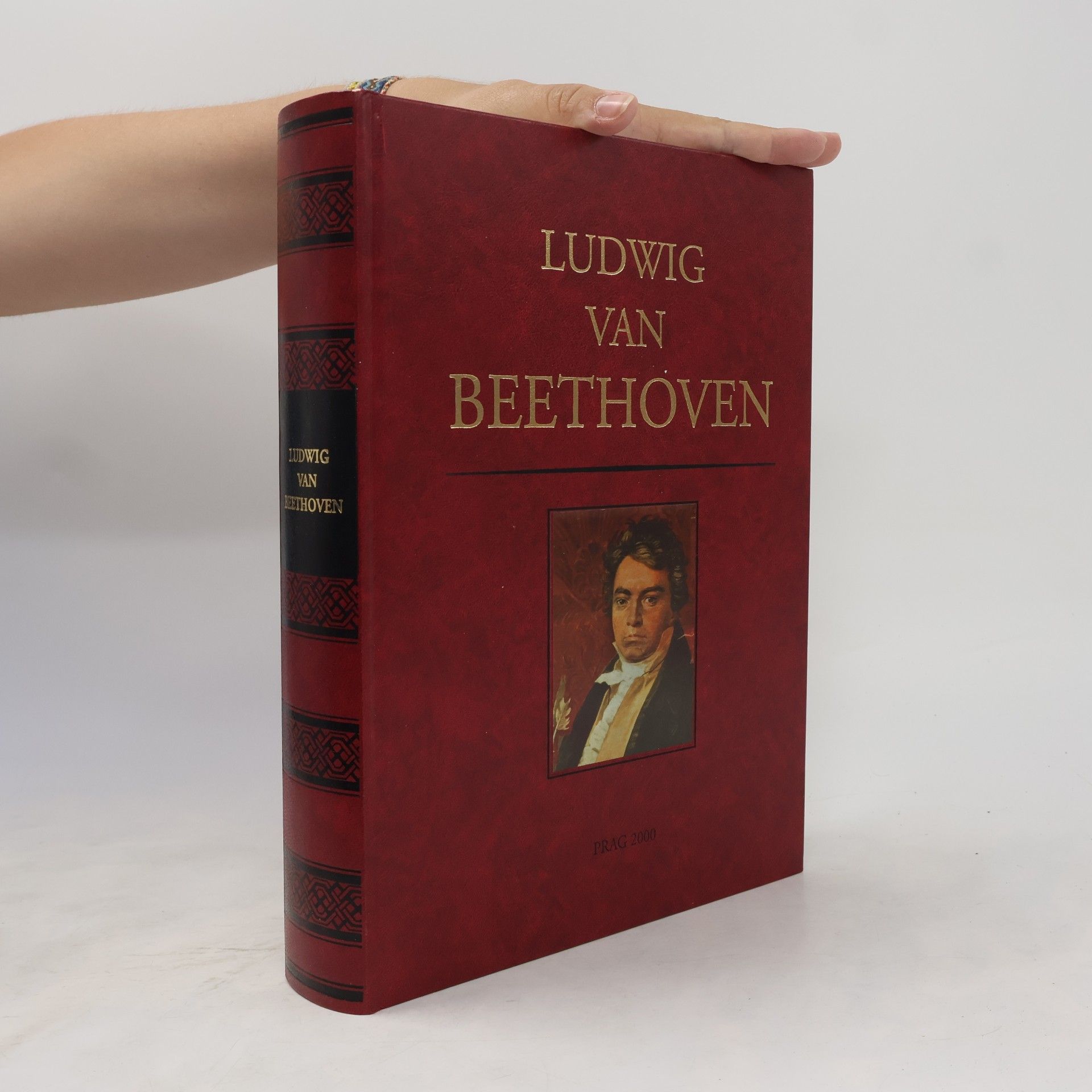 Autorenkollektiv Ludwig van Beethoven im Herzen Europas