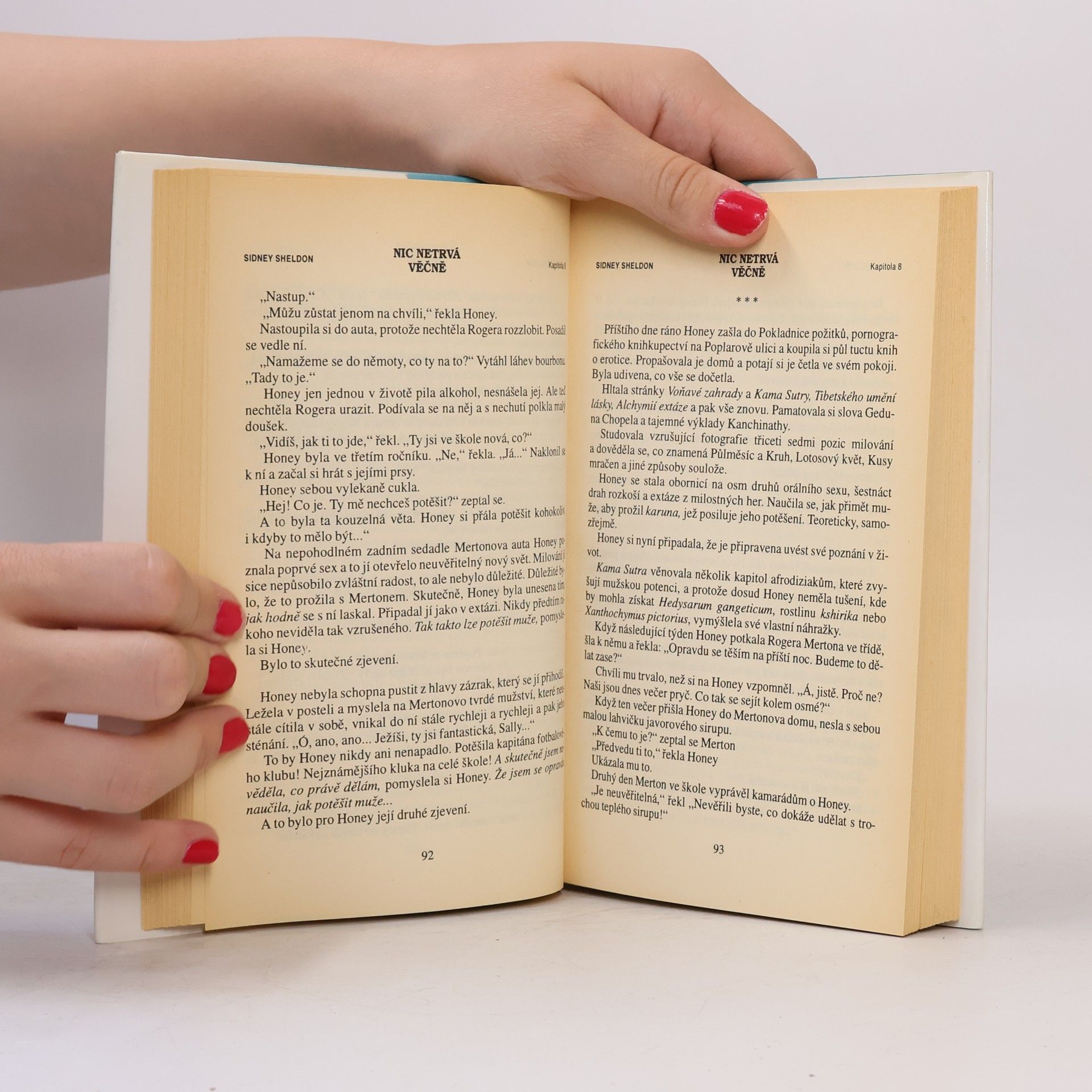 Sidney Sheldon Nic netrvá věčně