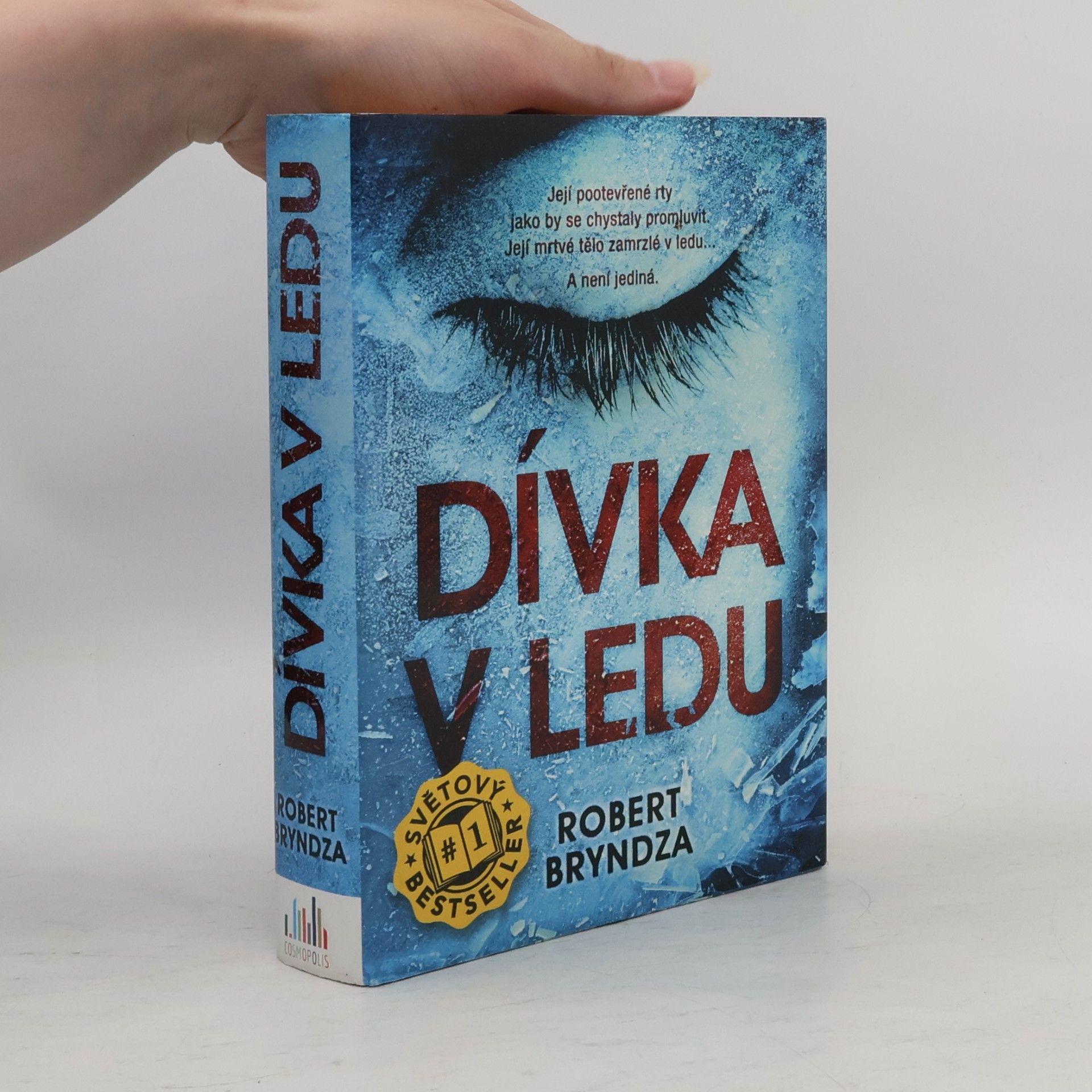 Robert Bryndza Dívka v ledu