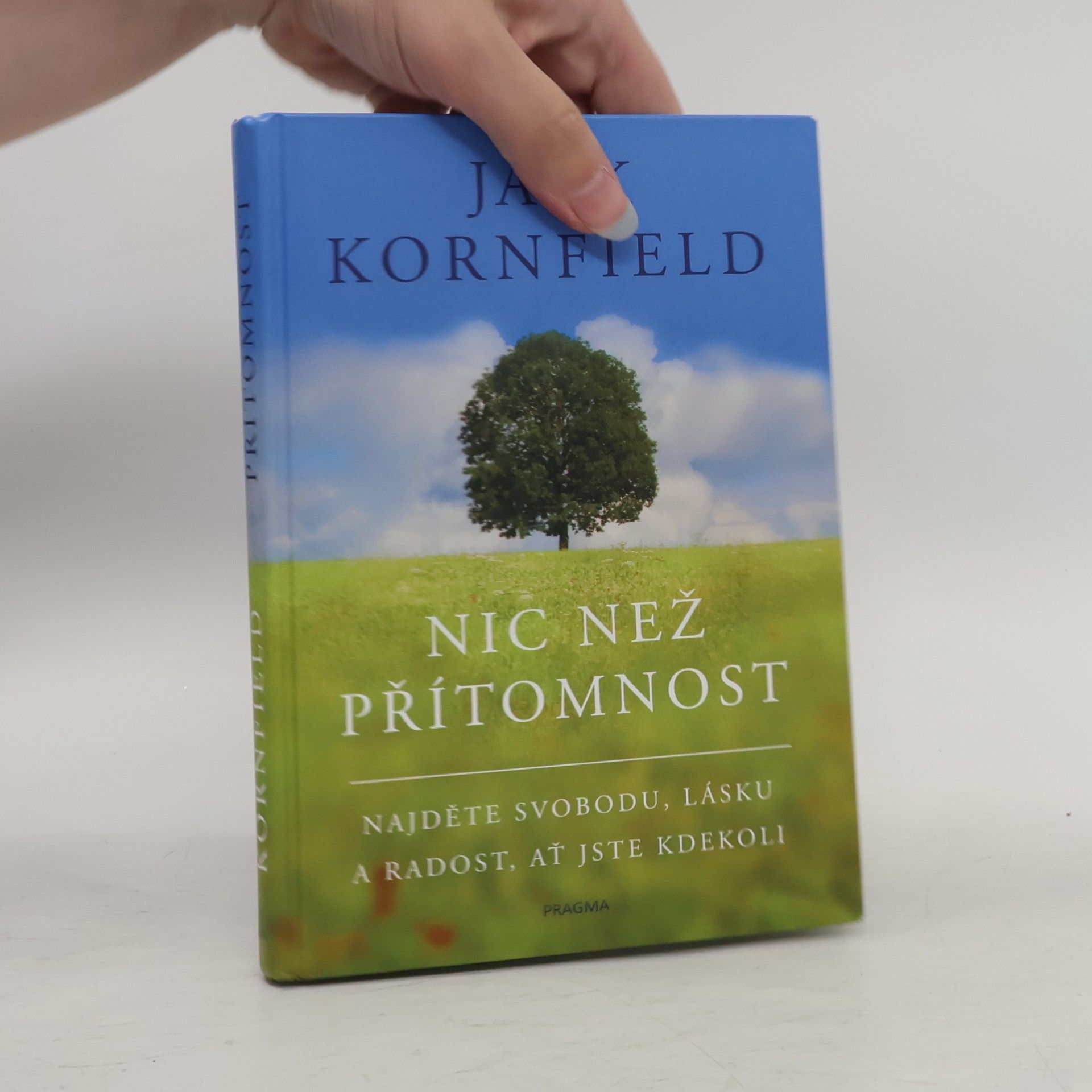 Jack Kornfield Nic než přítomnost