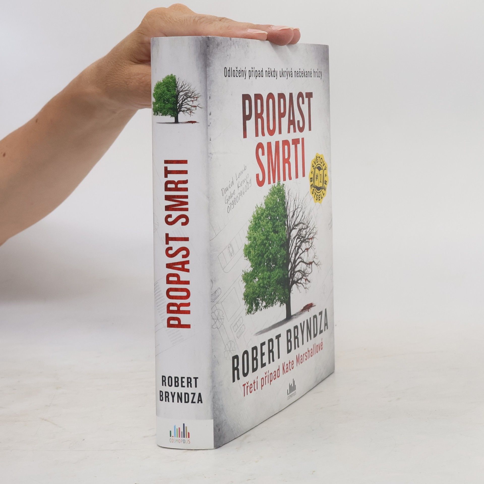 Robert Bryndza Propast smrti