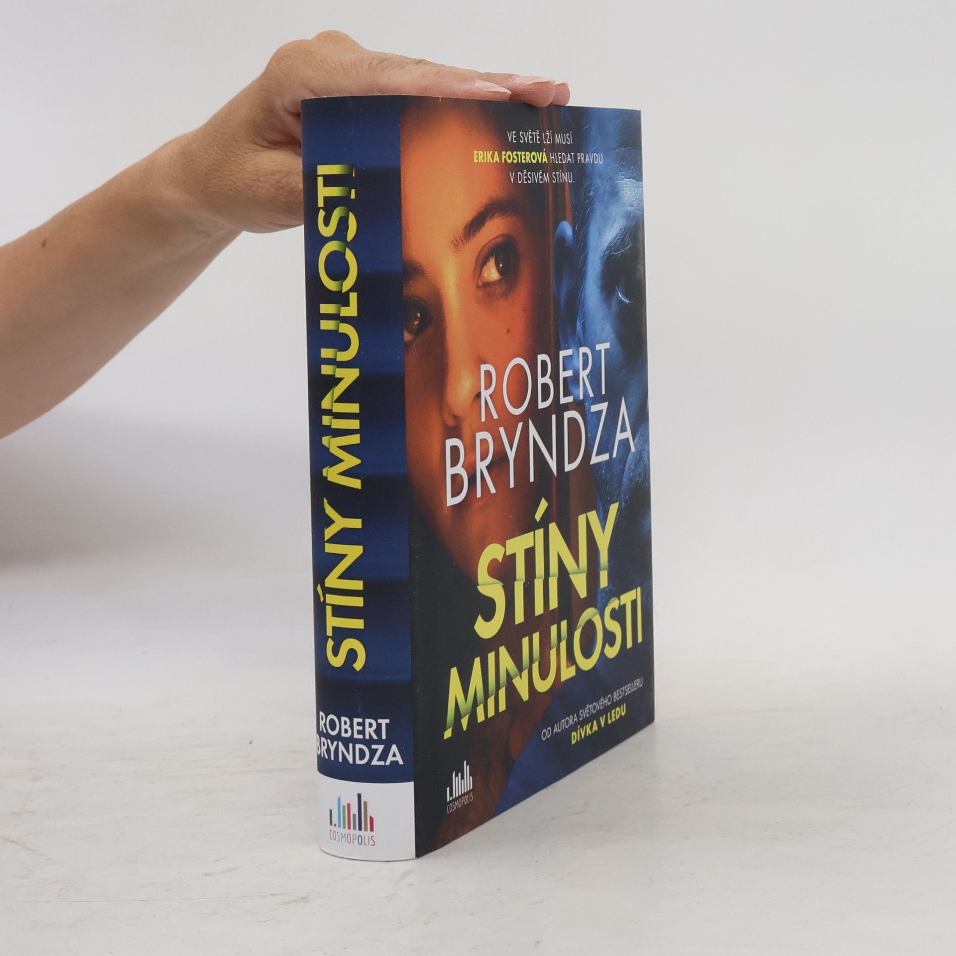 Robert Bryndza Stíny minulosti