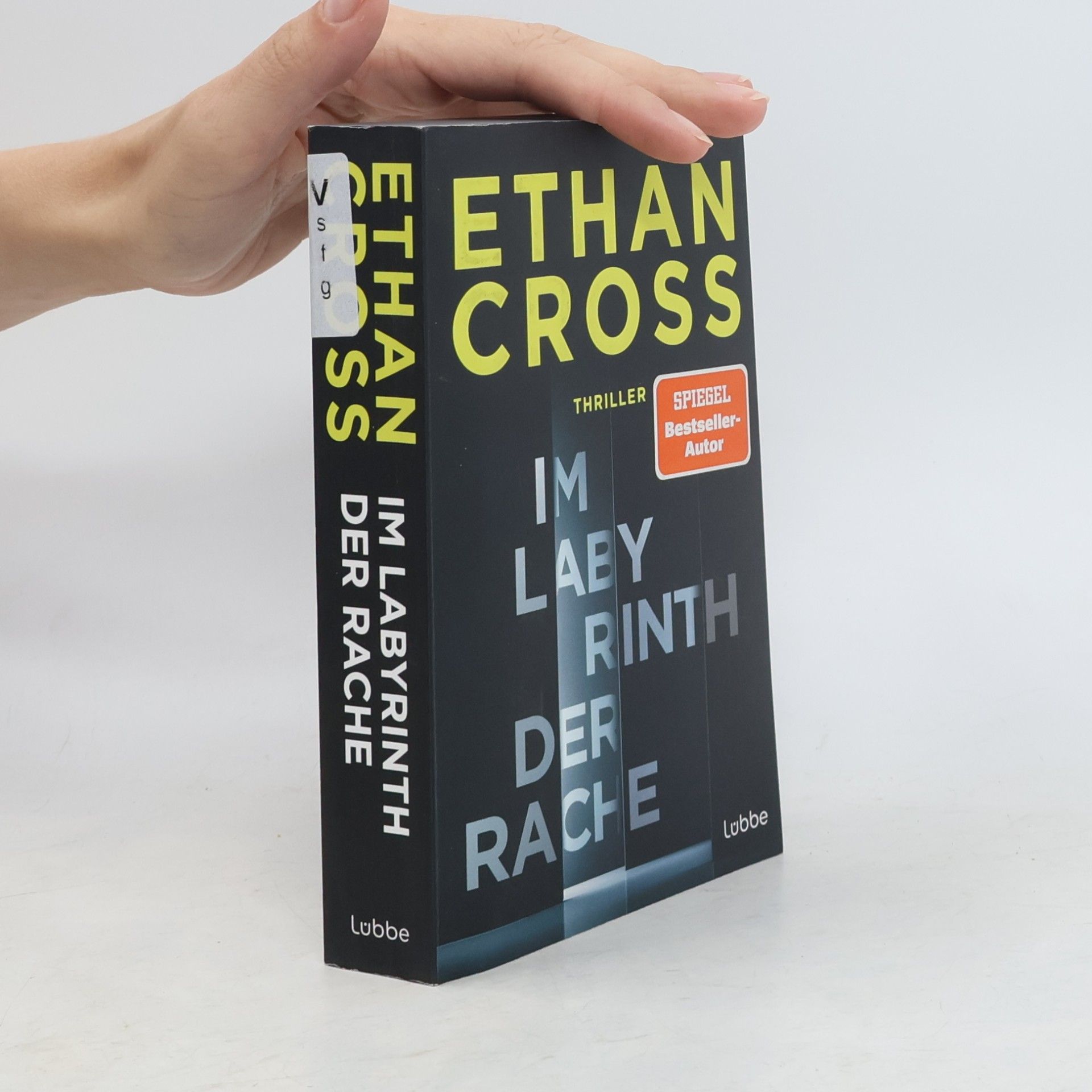 Ethan Cross Im Labyrinth der Rache. Thriller