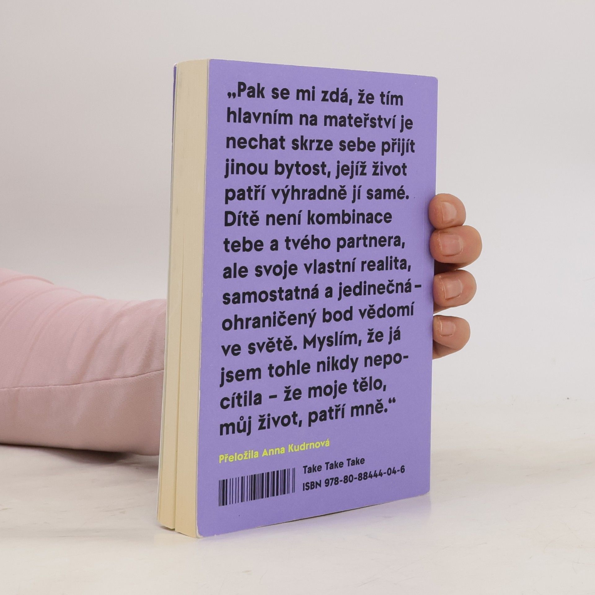 Sheila Heti Mateřství