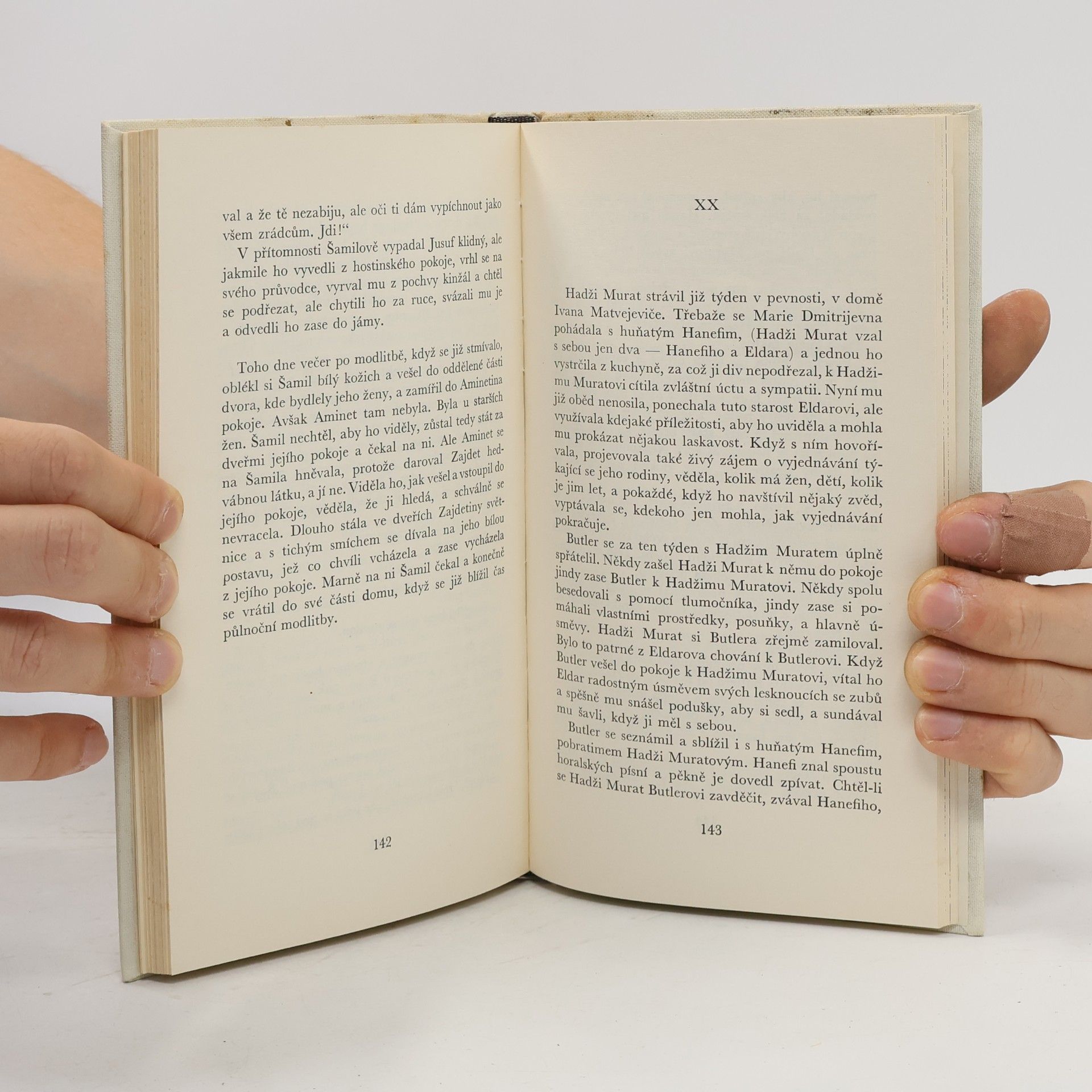 Lew Nikolajewitsch Tolstoi Hadži Murat