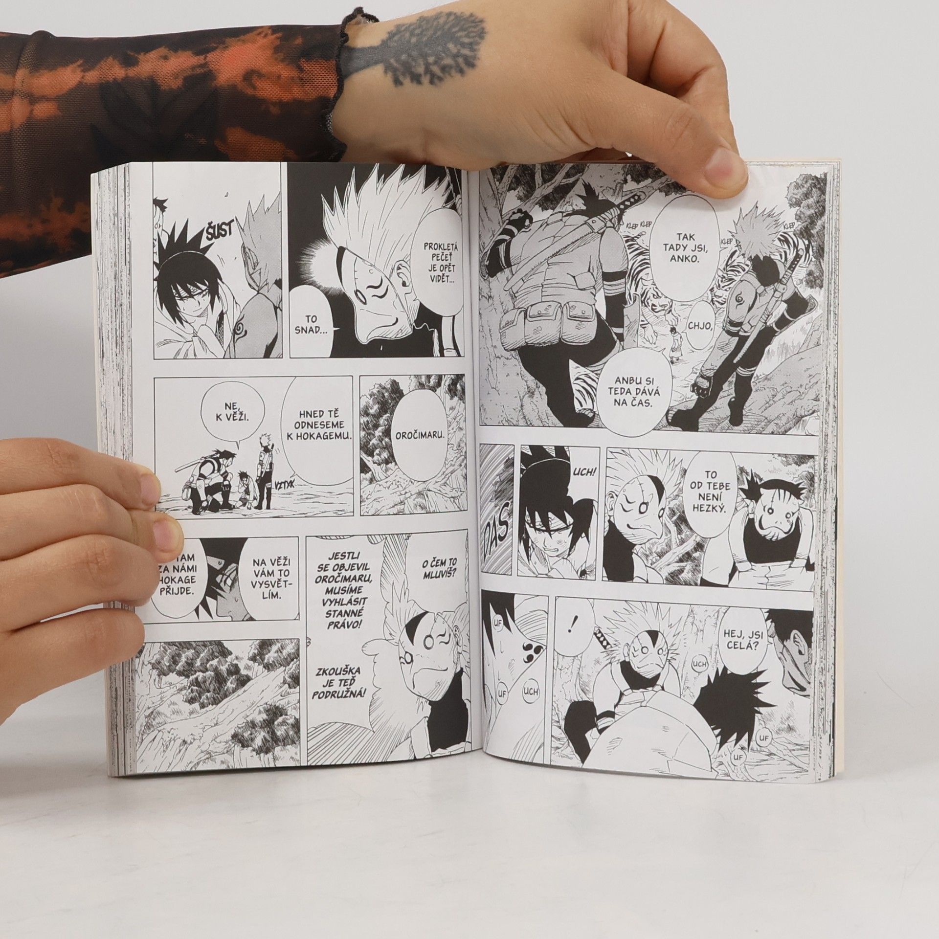 Masashi Kishimoto Naruto. 7. díl, Správná cesta