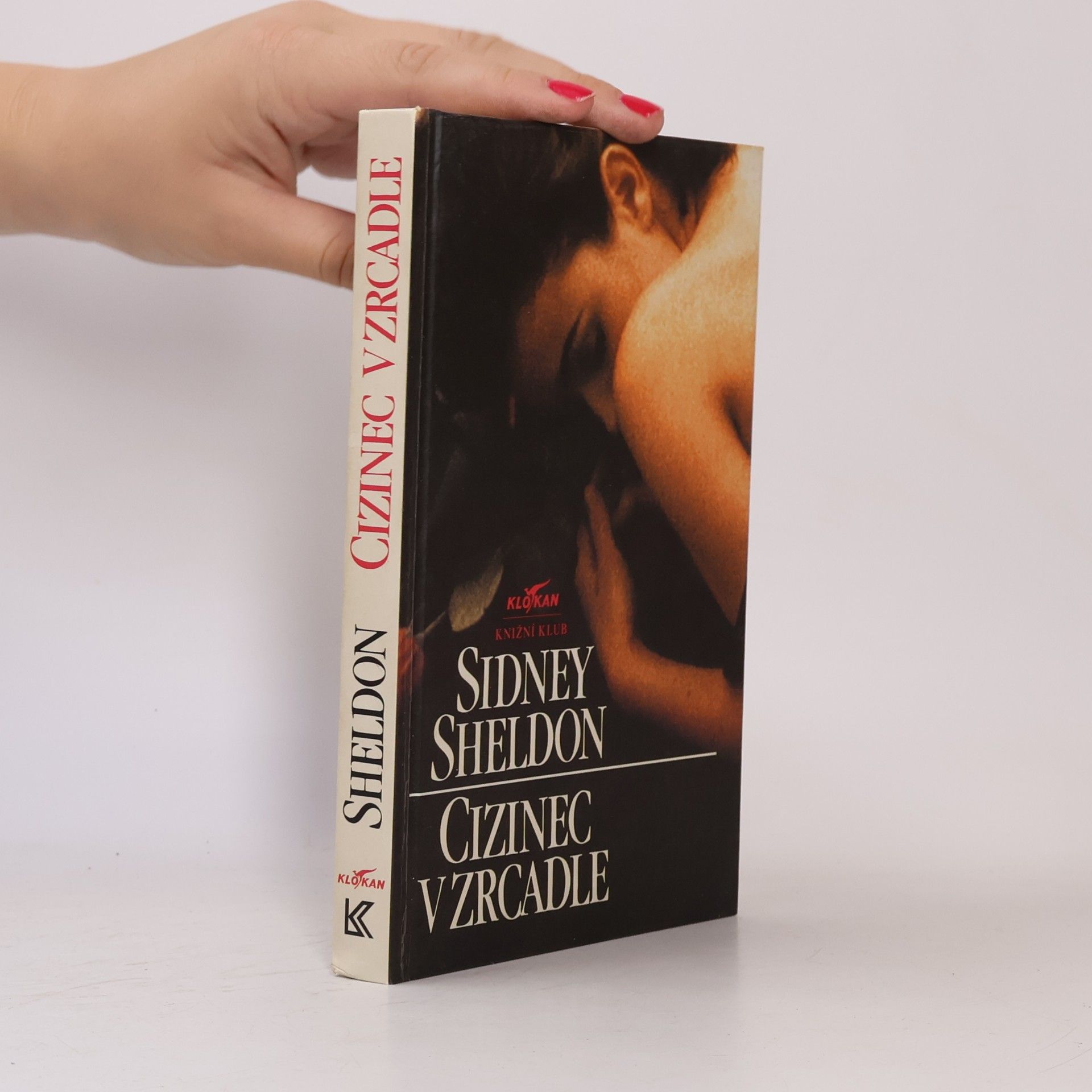 Sidney Sheldon Cizinec v zrcadle