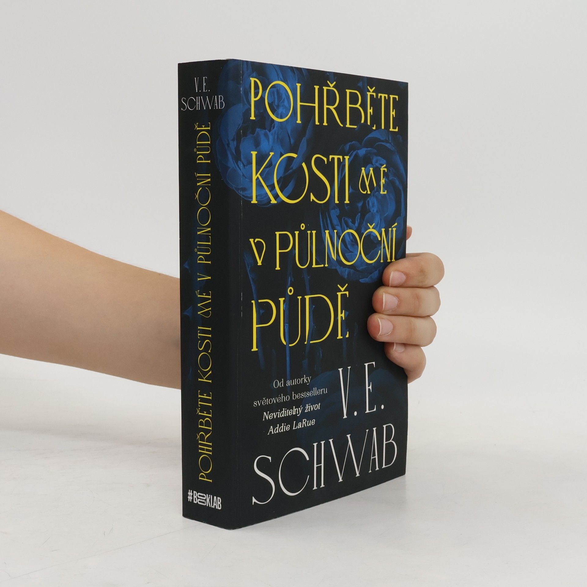V. E. Schwab Pohřběte kosti mé v půlnoční půdě