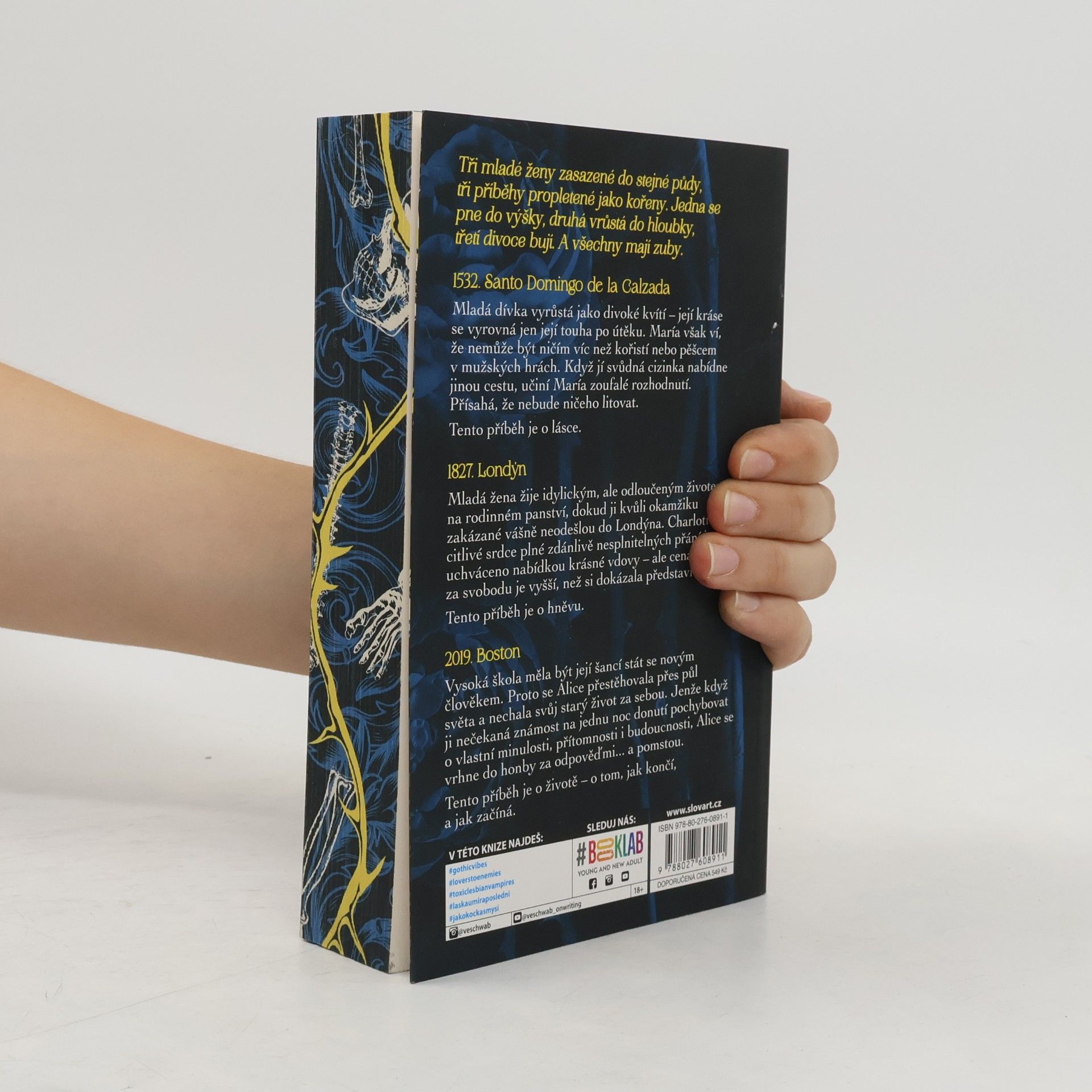 V. E. Schwab Pohřběte kosti mé v půlnoční půdě