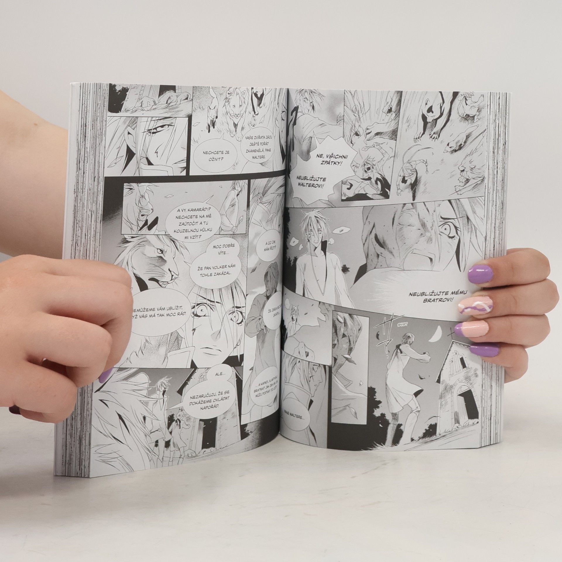 Kei Ishiyama Manga příběhy bratří Grimmů