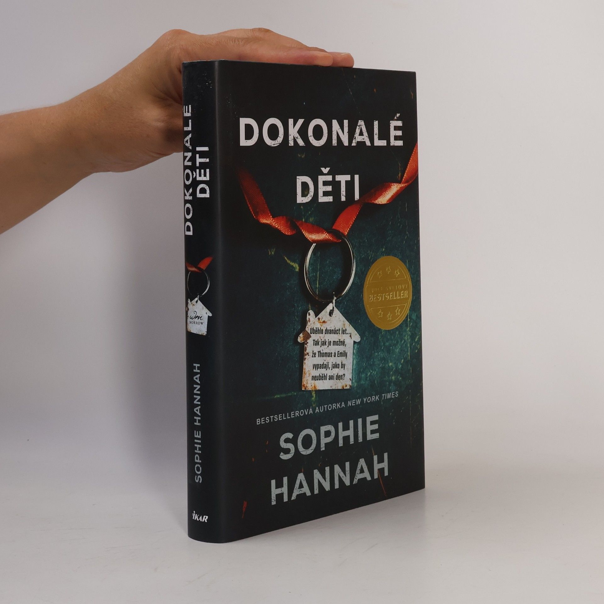 Sophie Hannah Dokonalé děti