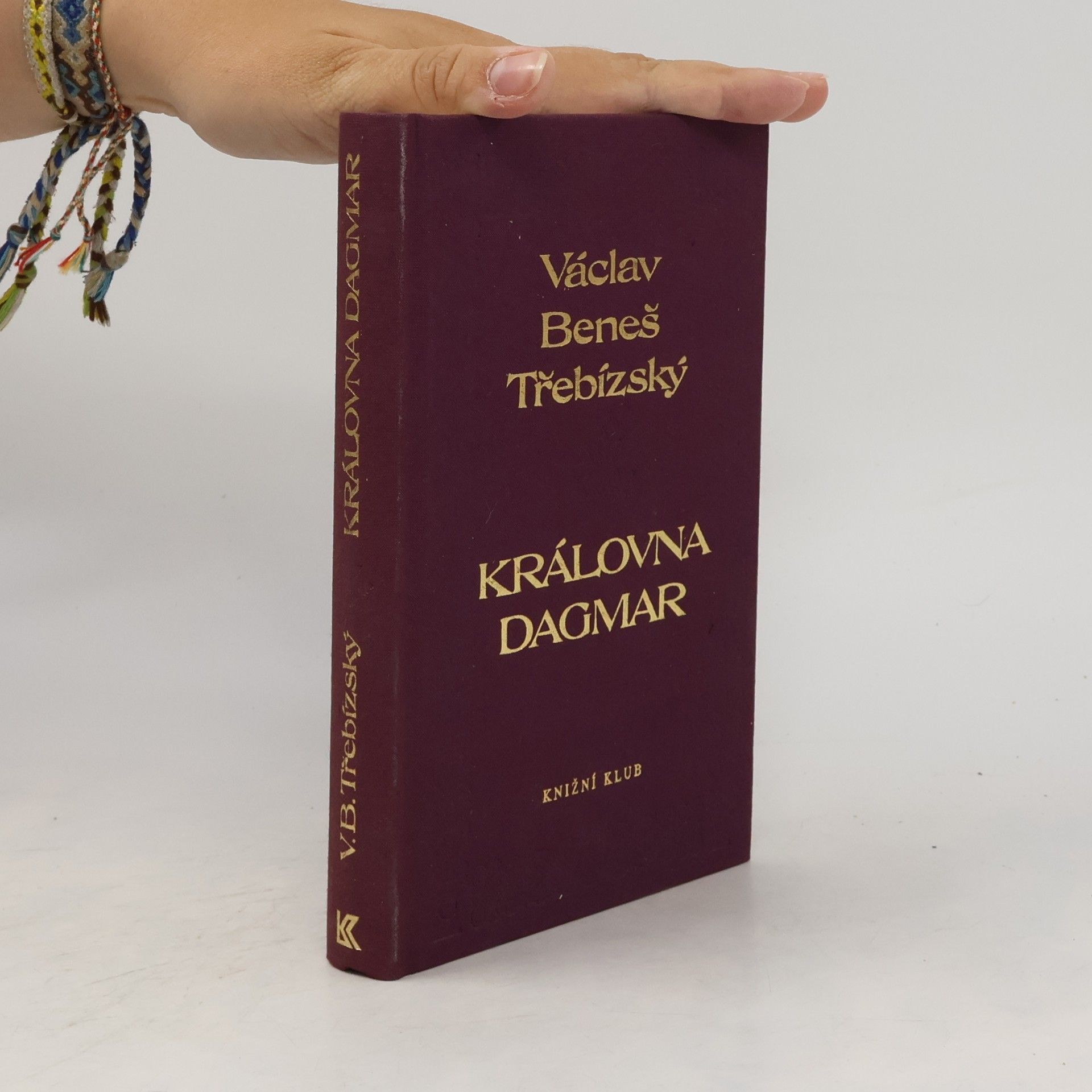 Václav Beneš Třebízský Královna Dagmar