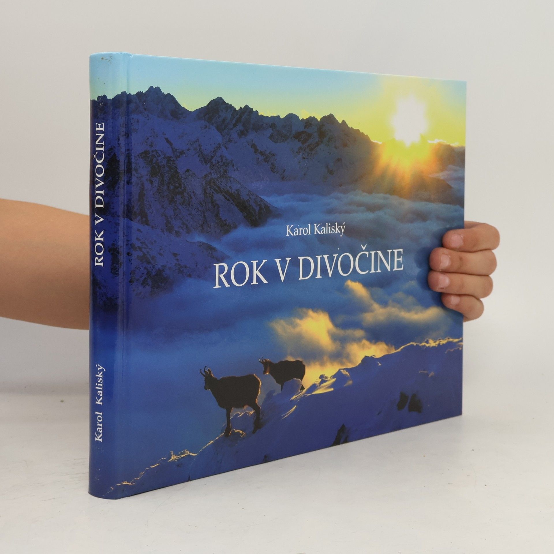 Karol Kaliský Rok v divočine