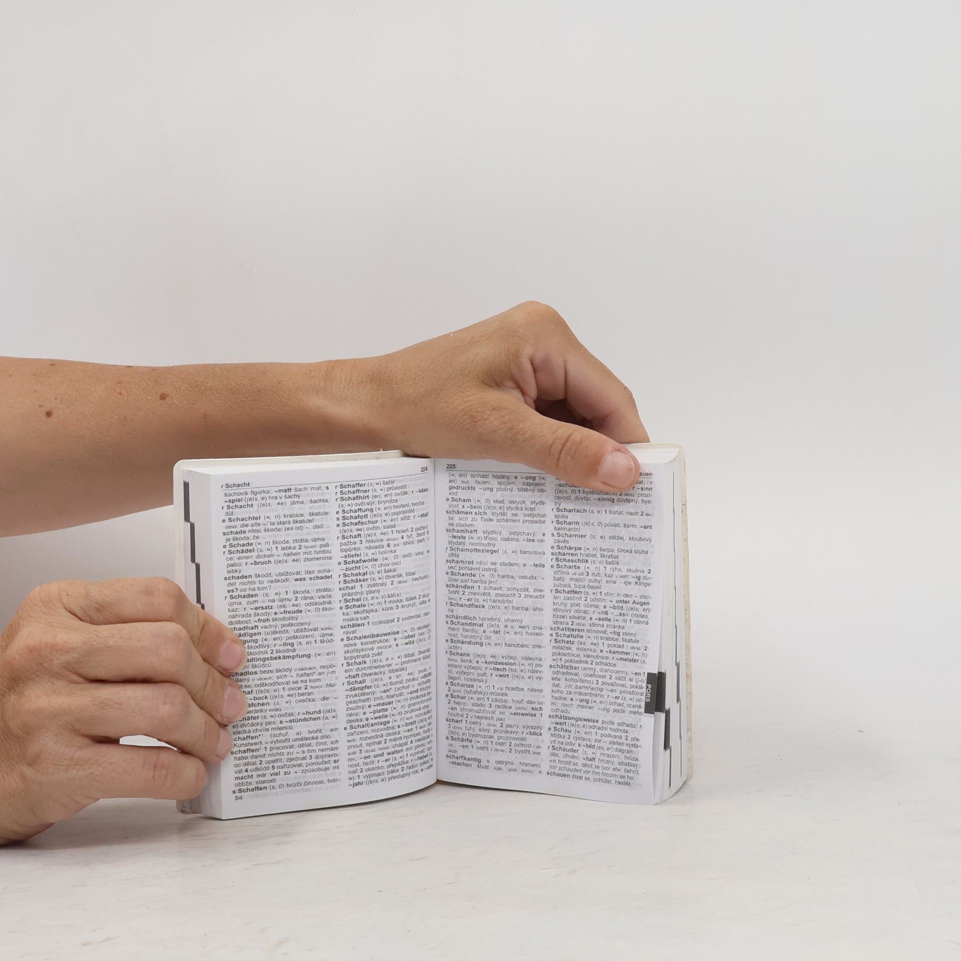 Autores varios Německo-český, česko-německý slovník