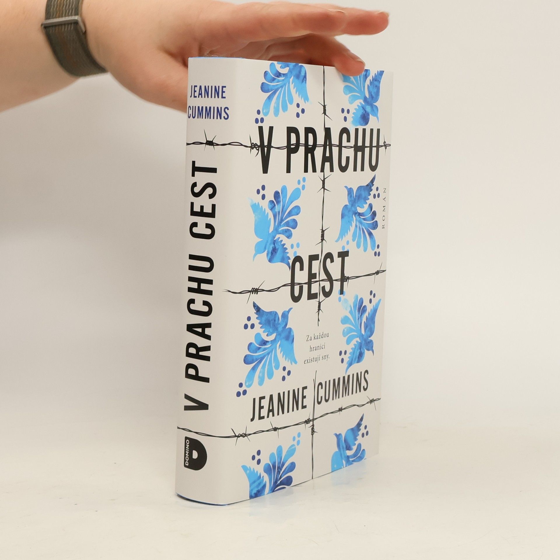 Jeanine Cummins V prachu cest