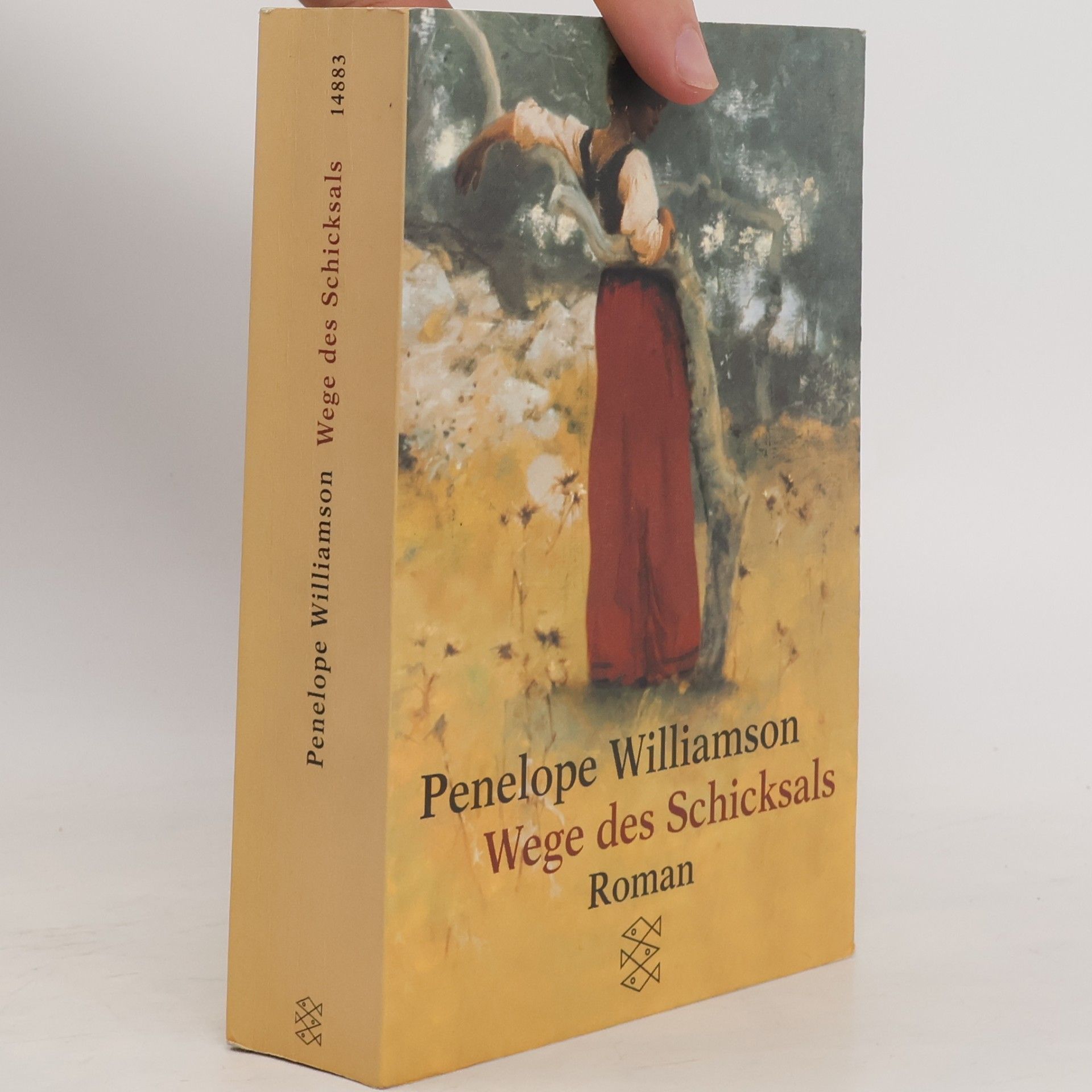 Penelope Williamson Wege des Schicksals