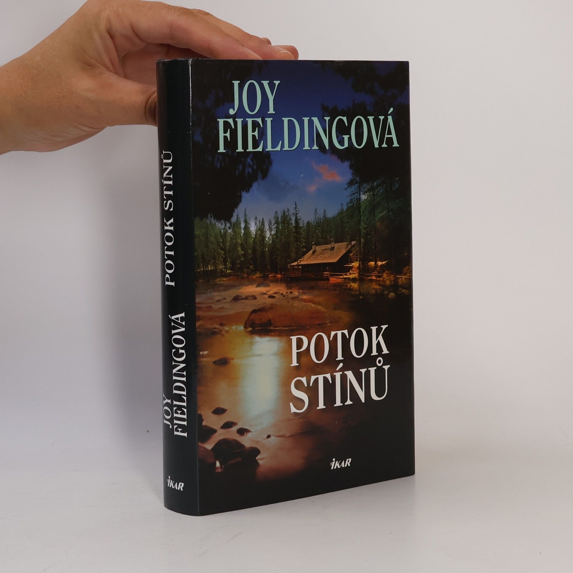 Joy Fielding Potok stínů