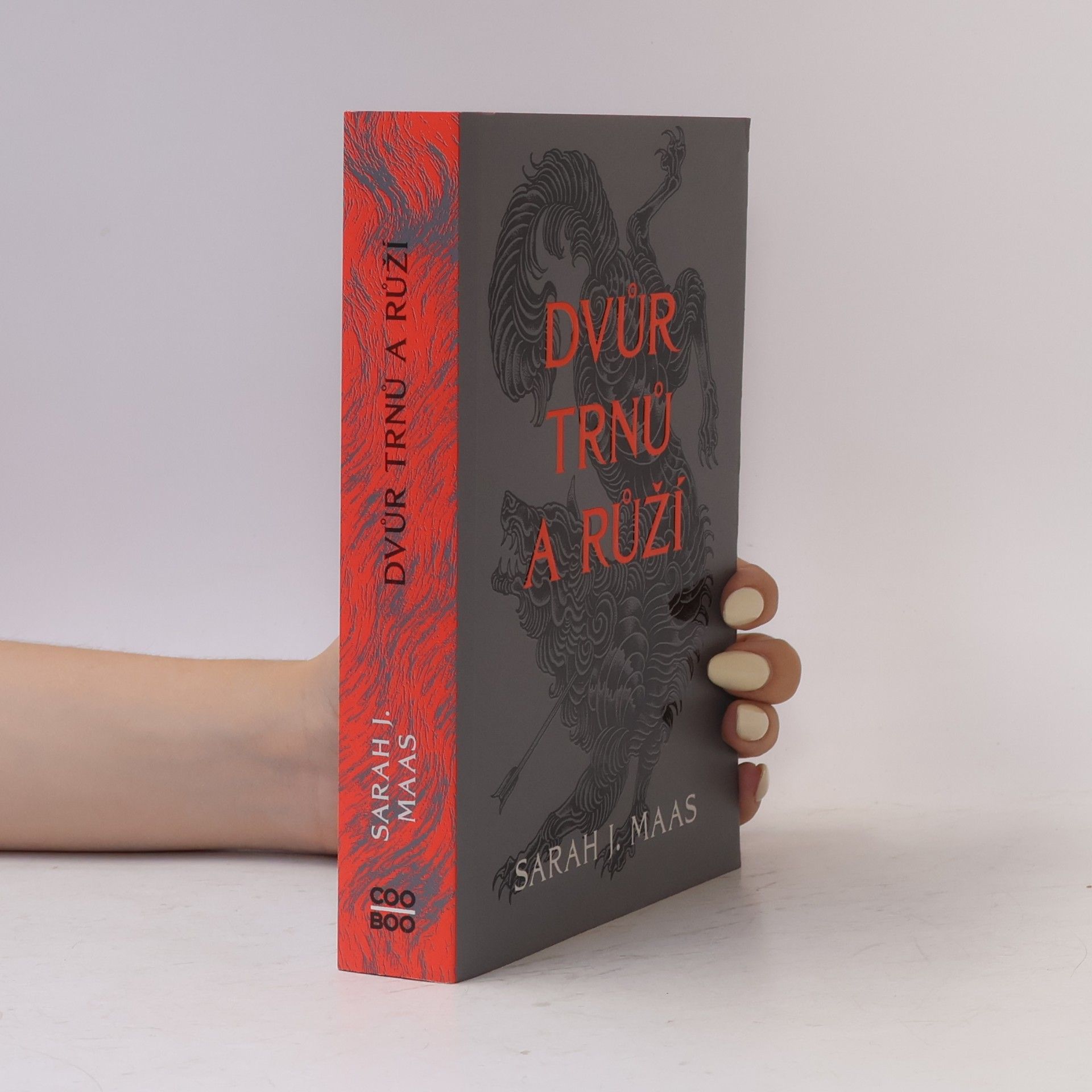 Sarah J. Maas Dvůr trnů a růží