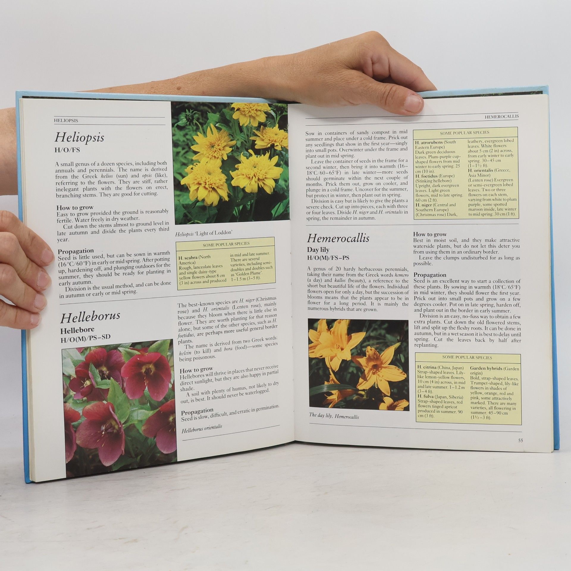 Peter McHoy Colour Dictionary of Garden Plants