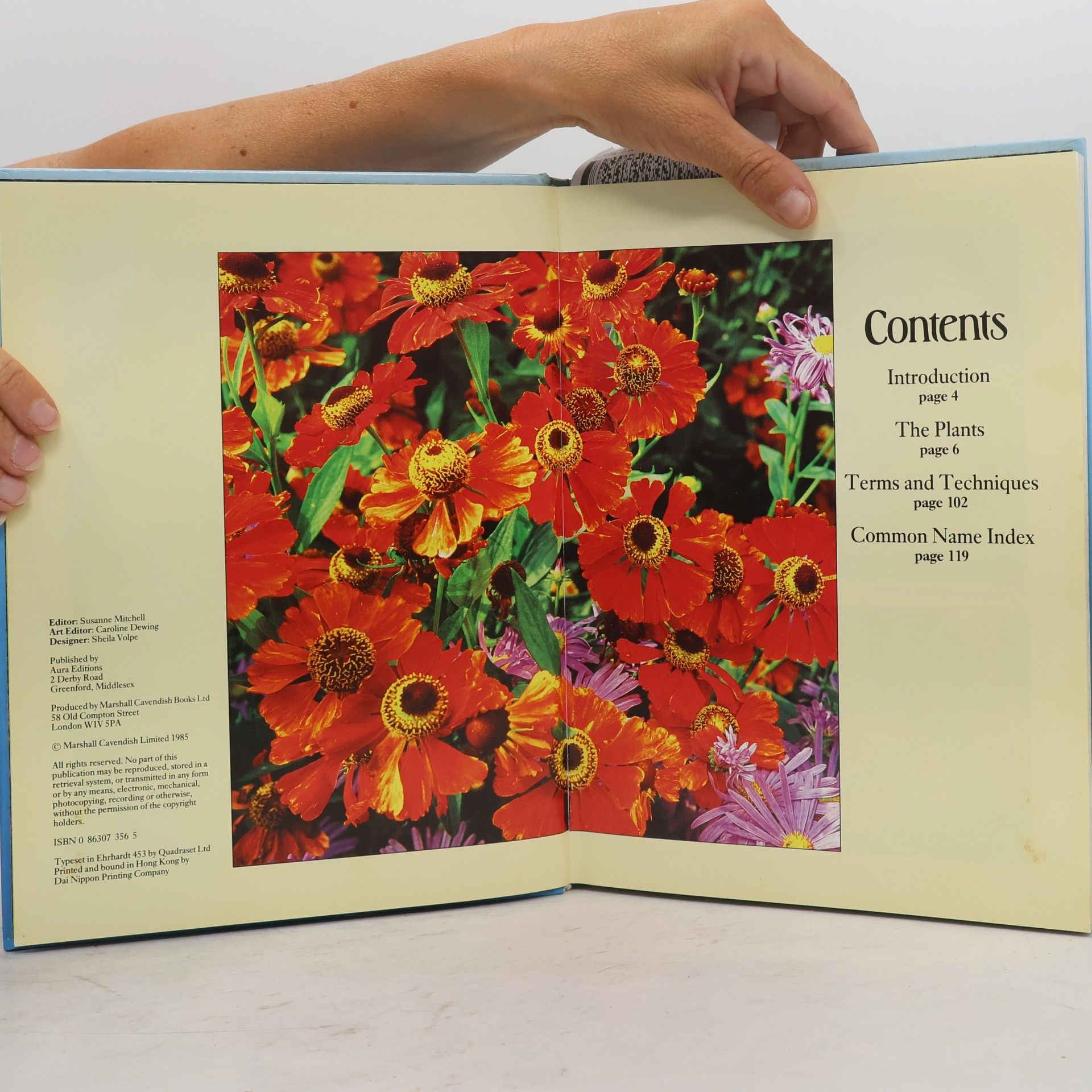 Peter McHoy Colour Dictionary of Garden Plants