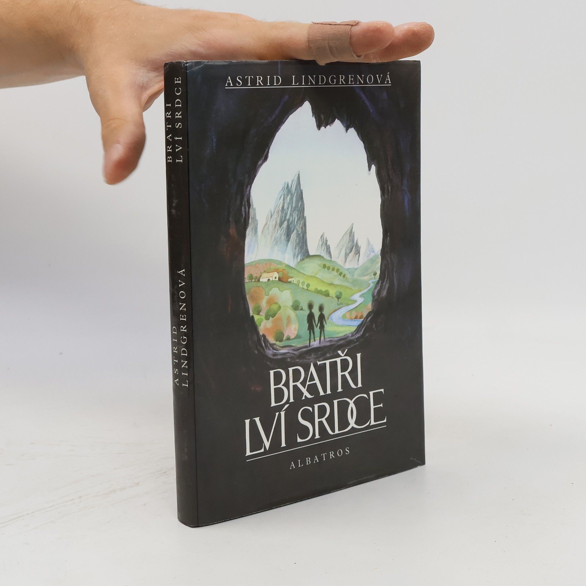 Astrid Lindgren Bratři Lví srdce