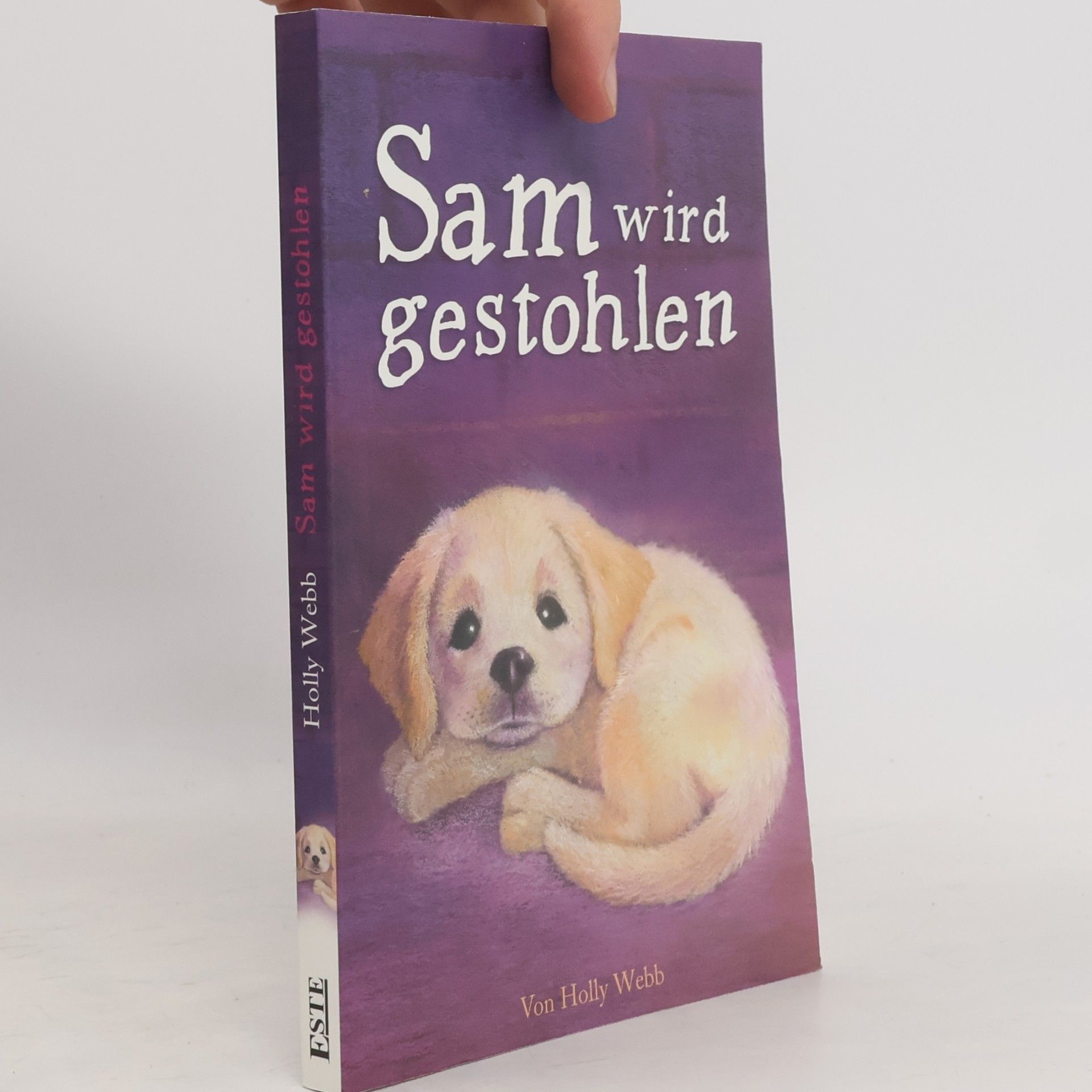 Sam wird gestohlen