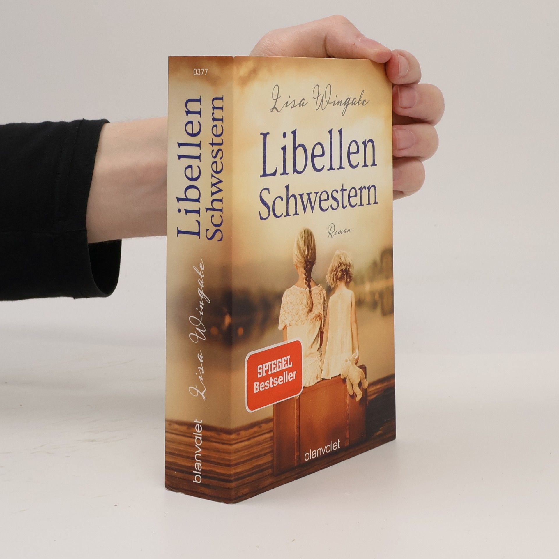 Lisa Wingate Libellenschwestern