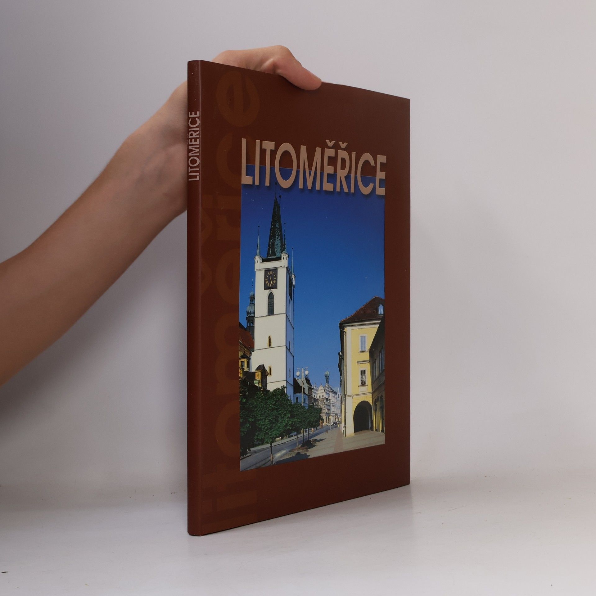 Litoměřice