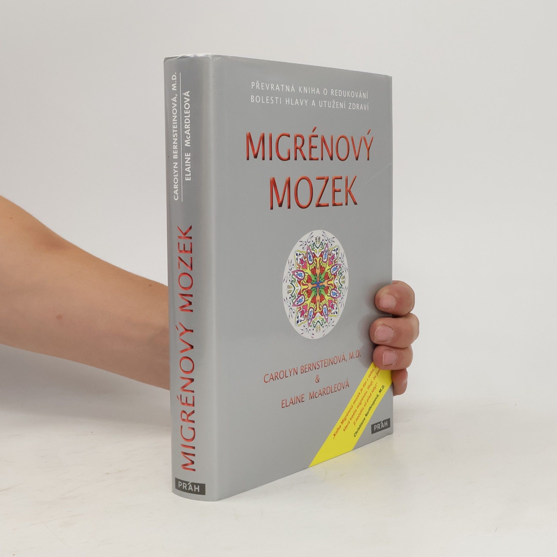 Migrénový mozek
