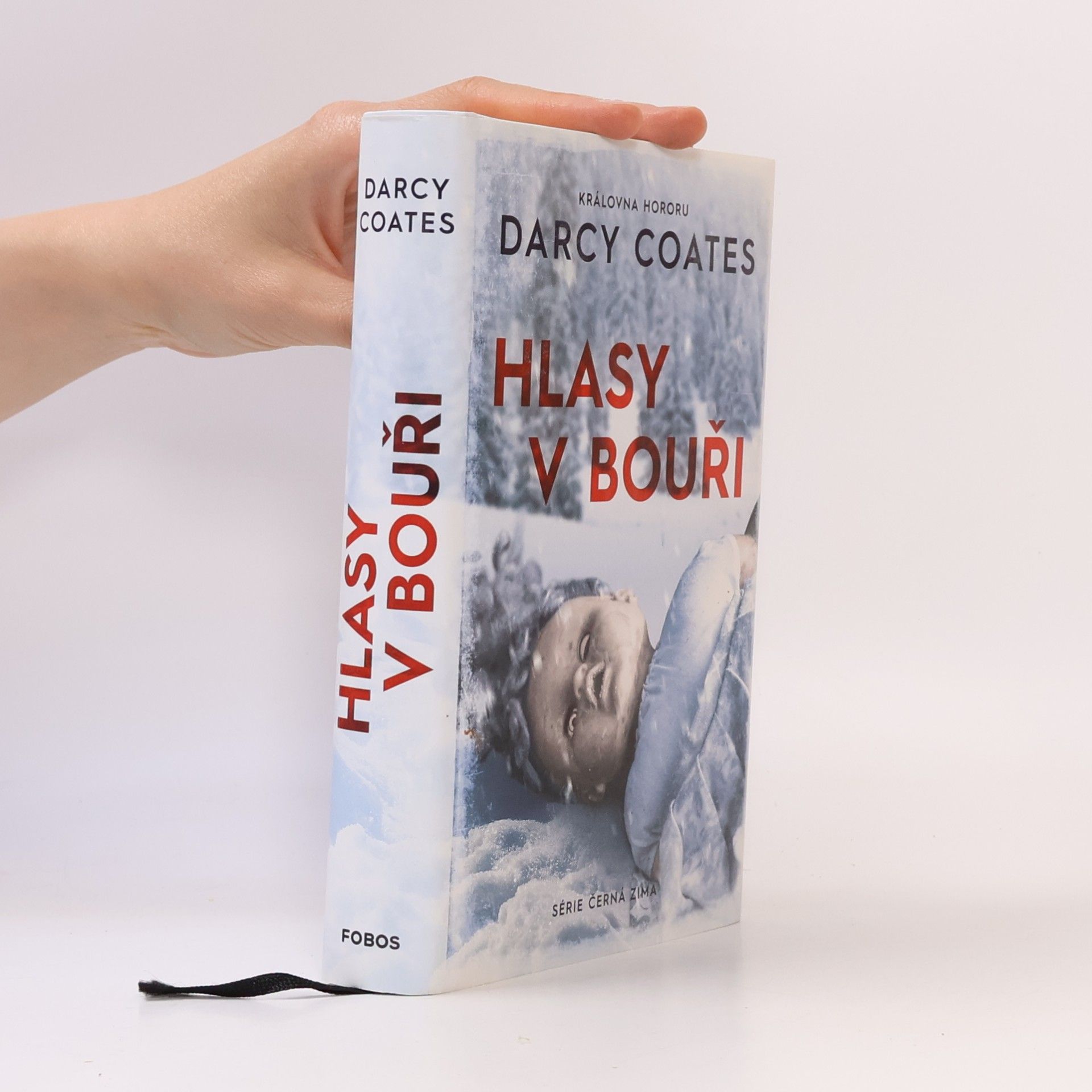 Darcy Coates Hlasy v bouři