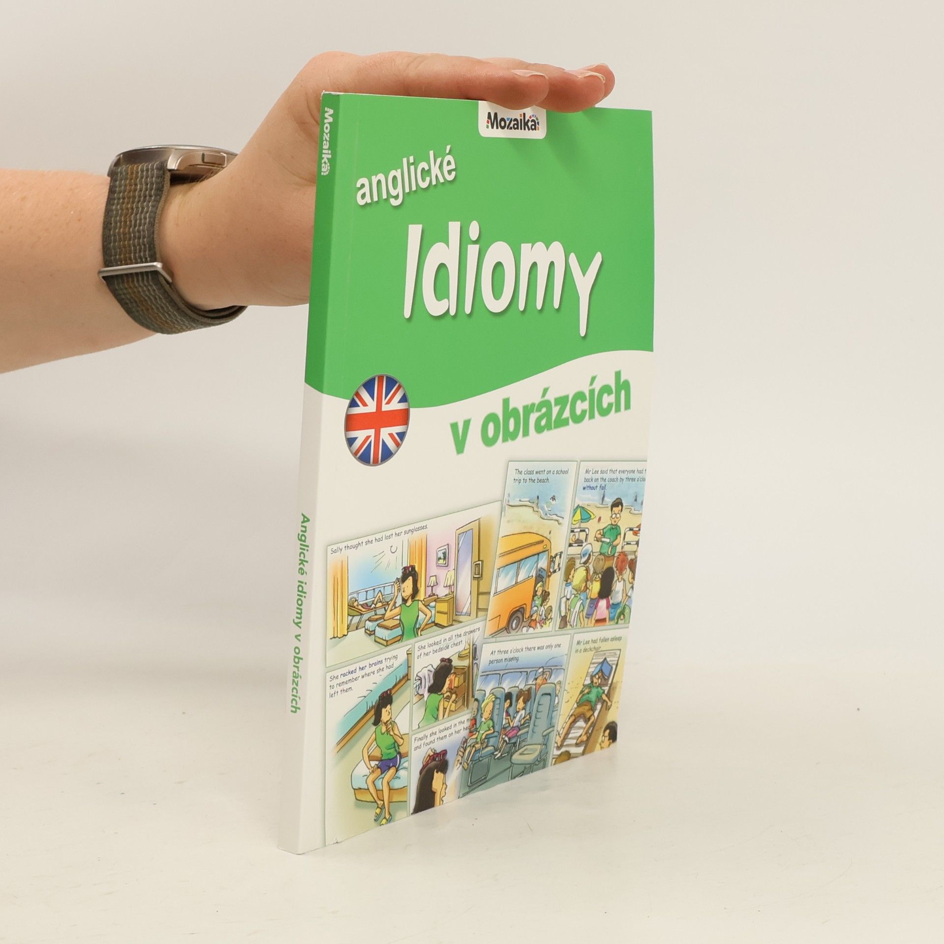 Rosalind Fergusson Anglické idiomy v obrázcích