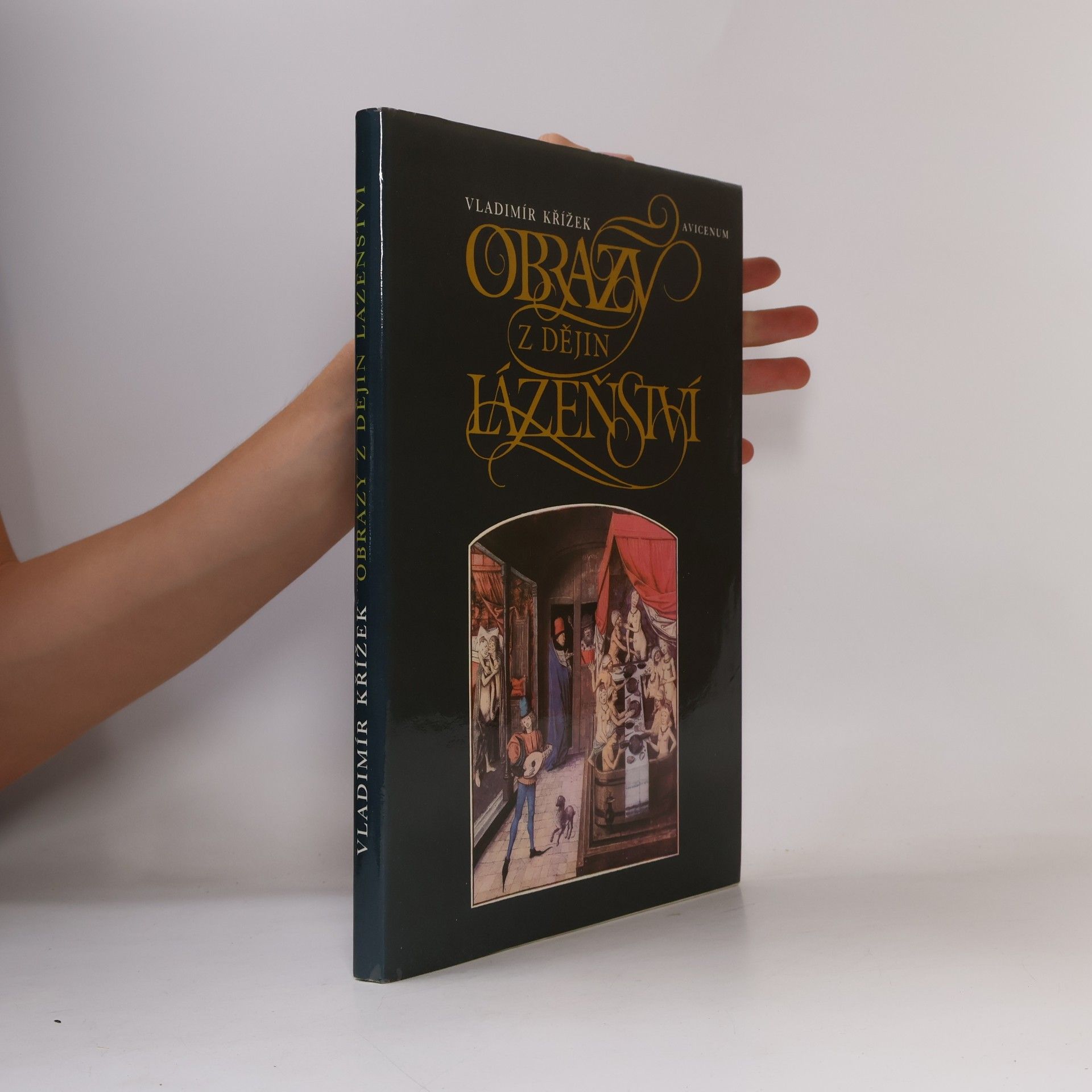 Vladimír Křížek Obrazy z dějin lázeňství