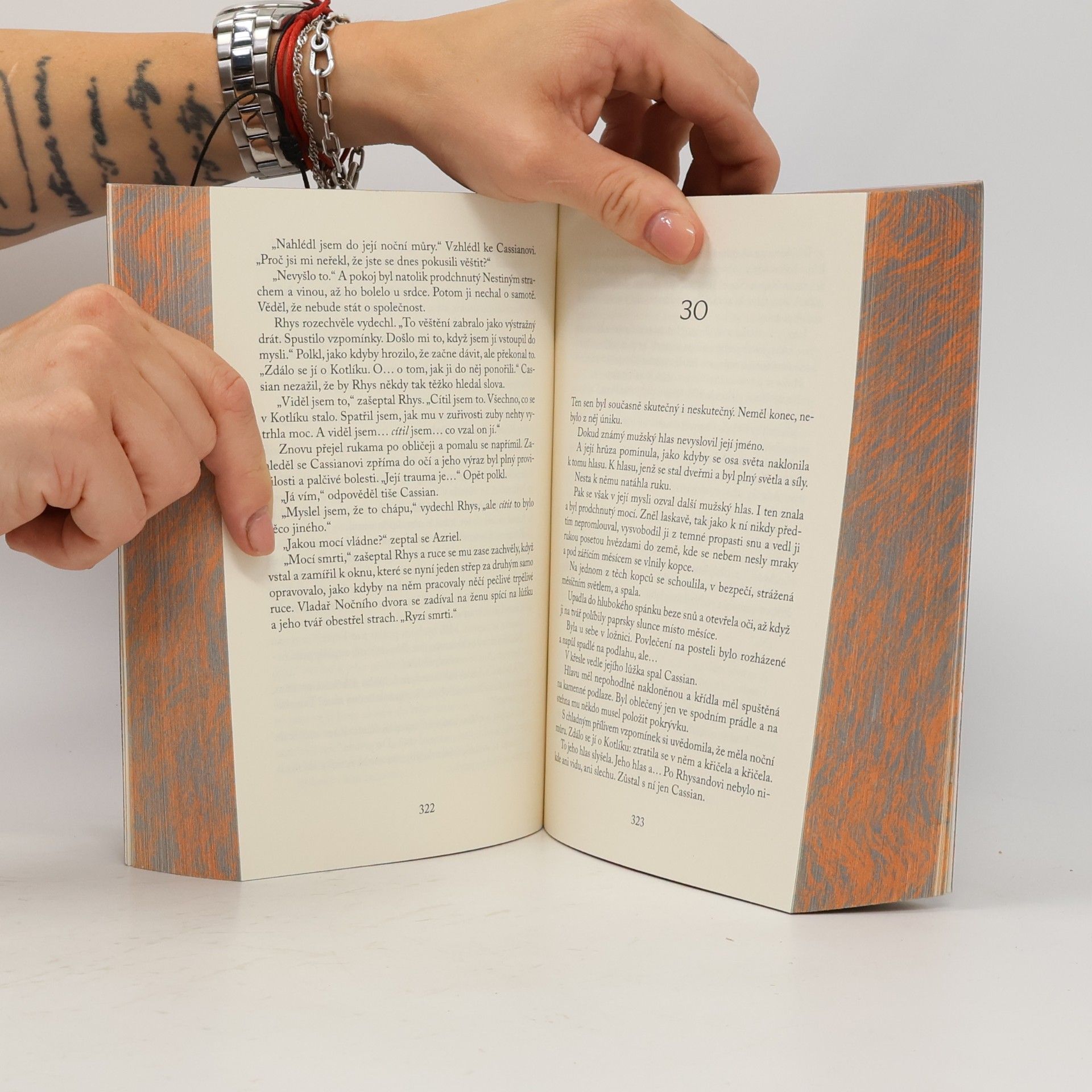 Sarah J. Maas Dvůr stříbrných plamenů