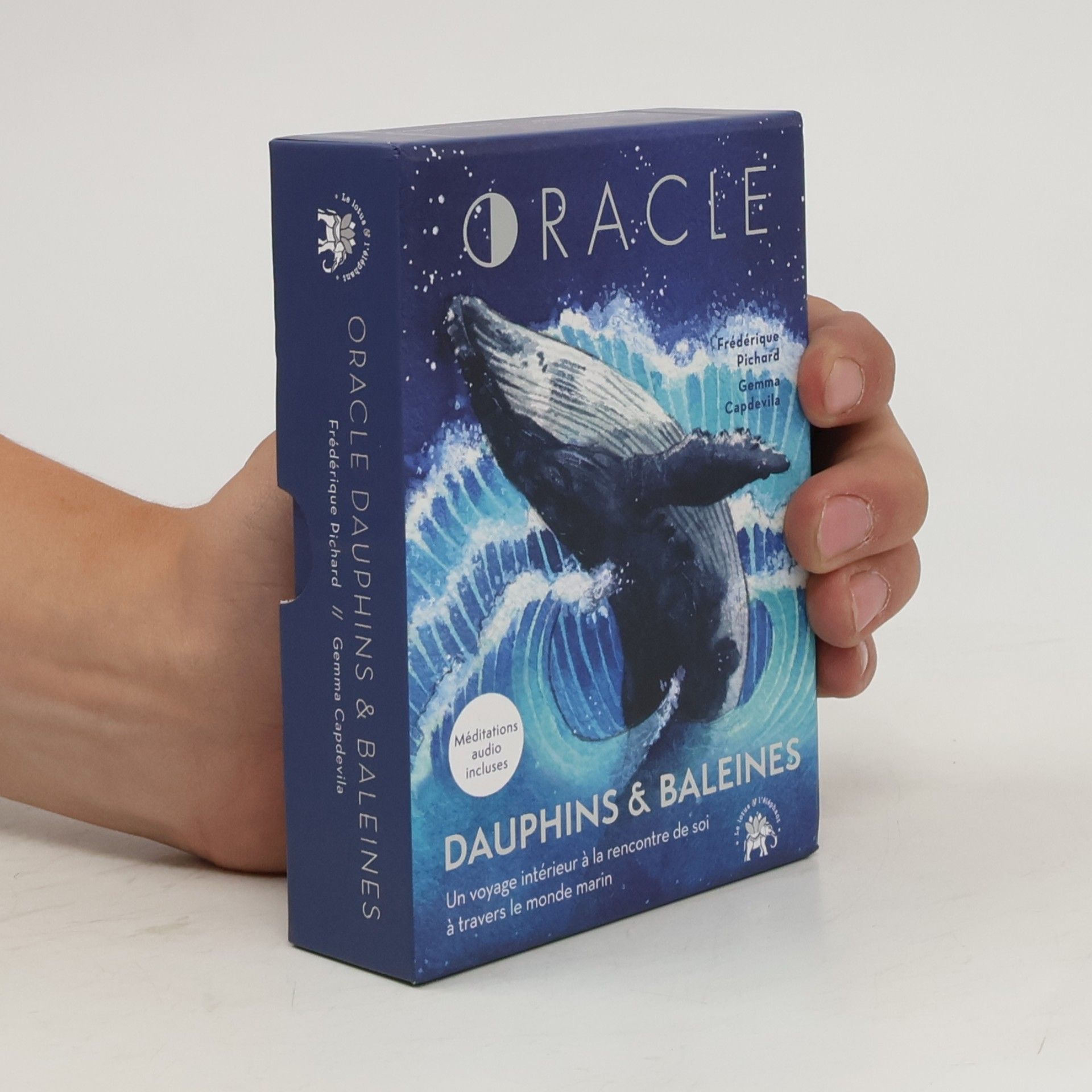 Gemma Capdevila Oracle, Dauphins et Baleines