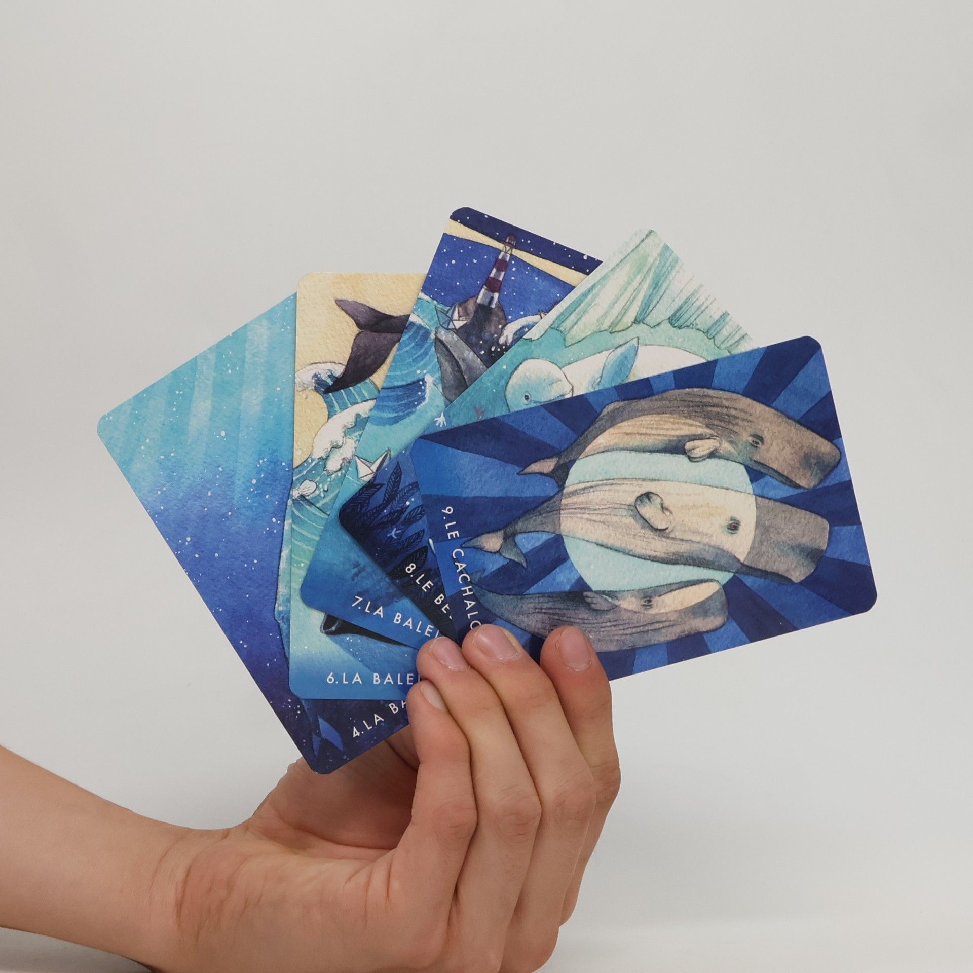 Frédérique Pichard Oracle, Dauphins et Baleines