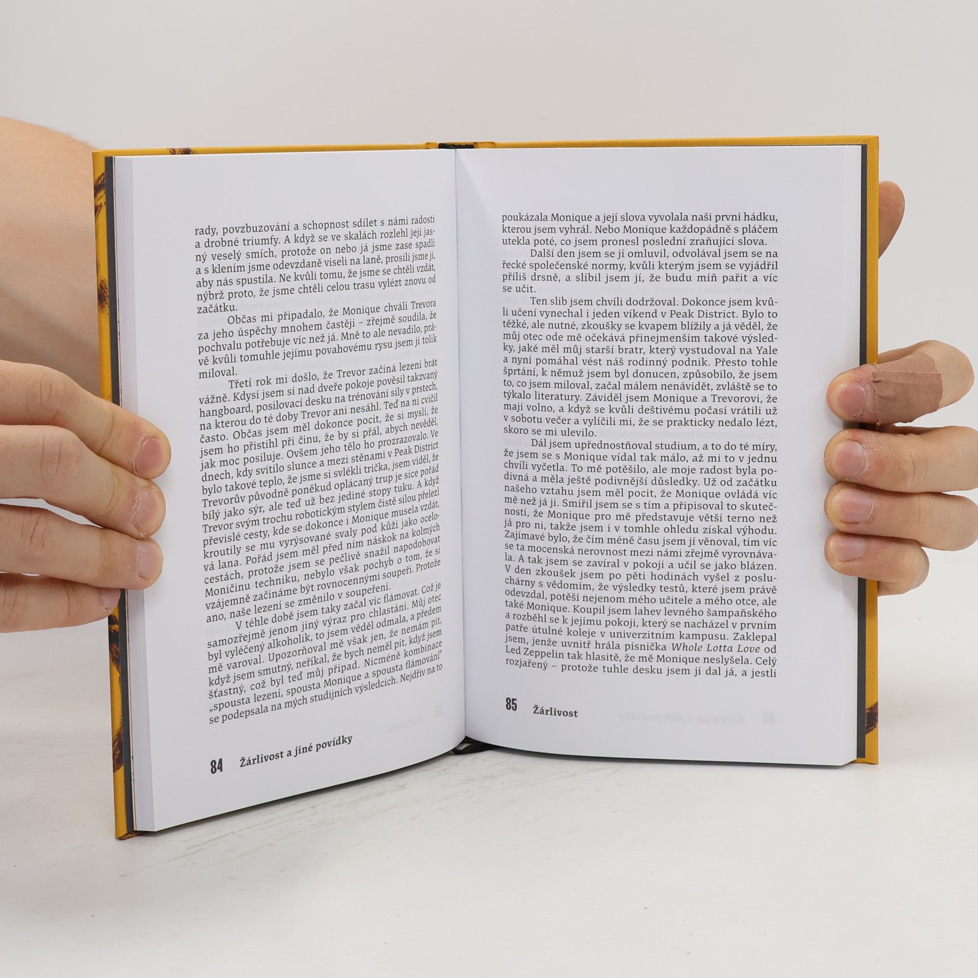 Jo Nesbø Žárlivost a jiné povídky